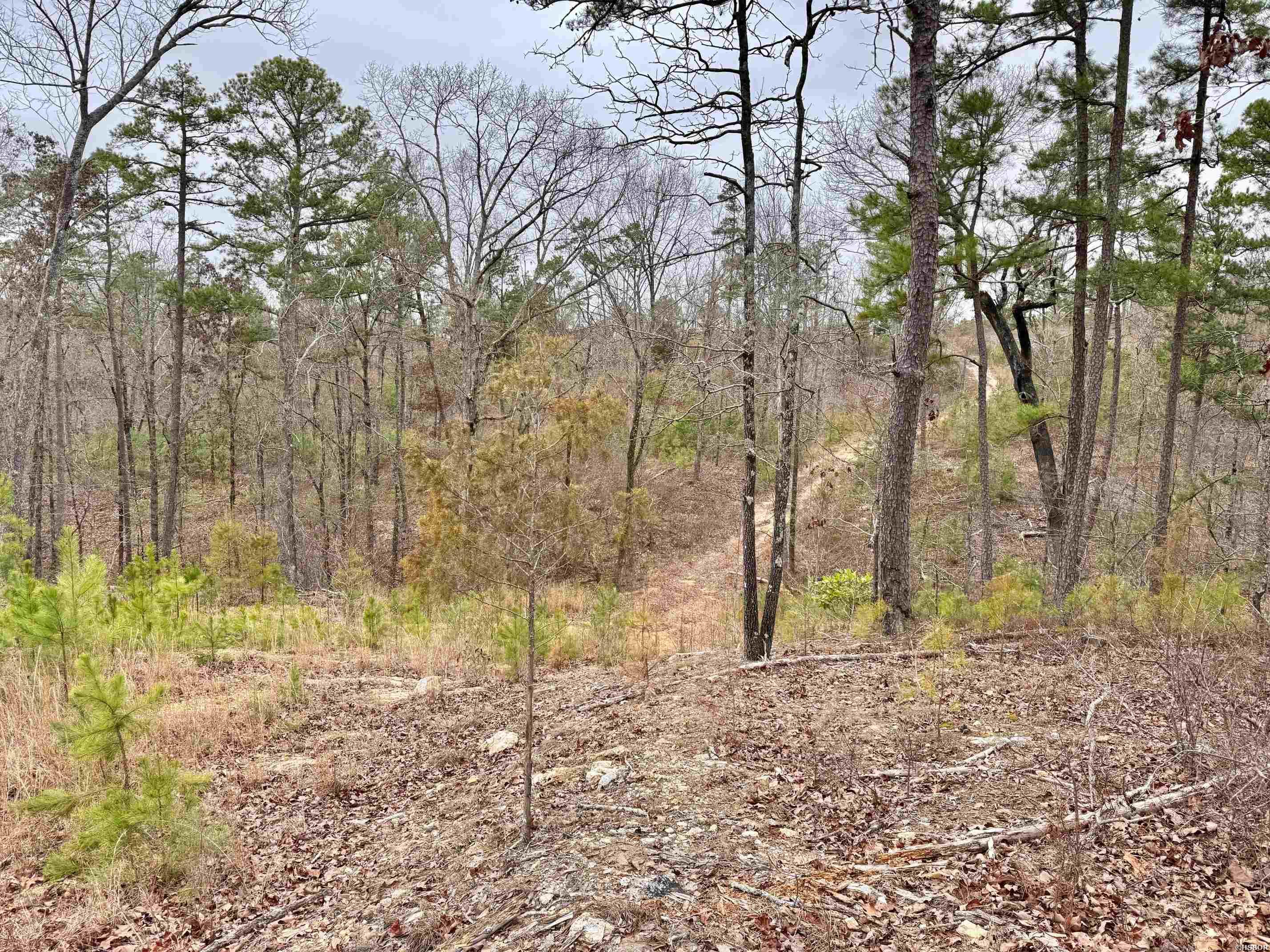 000 Park Avenue Property Photo 16