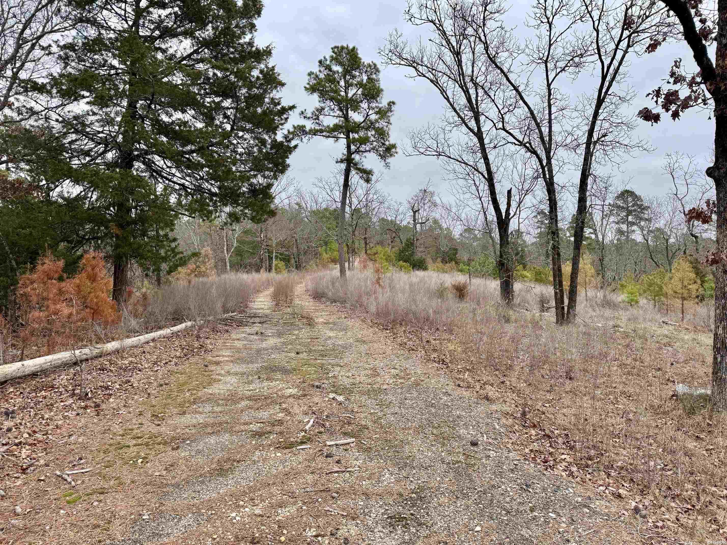000 Park Avenue Property Photo 17