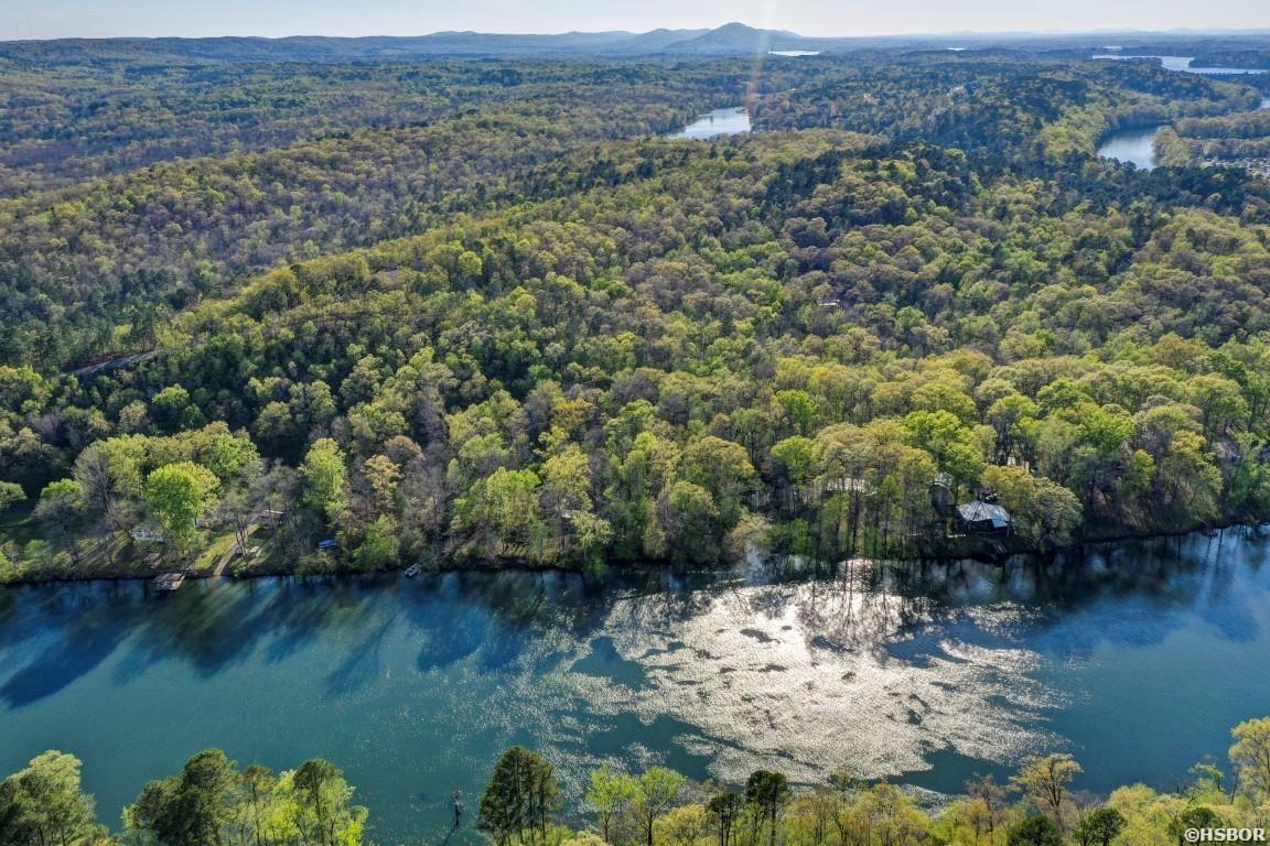 Lot 54 And 55 Tall Hickory Road Property Photo 6