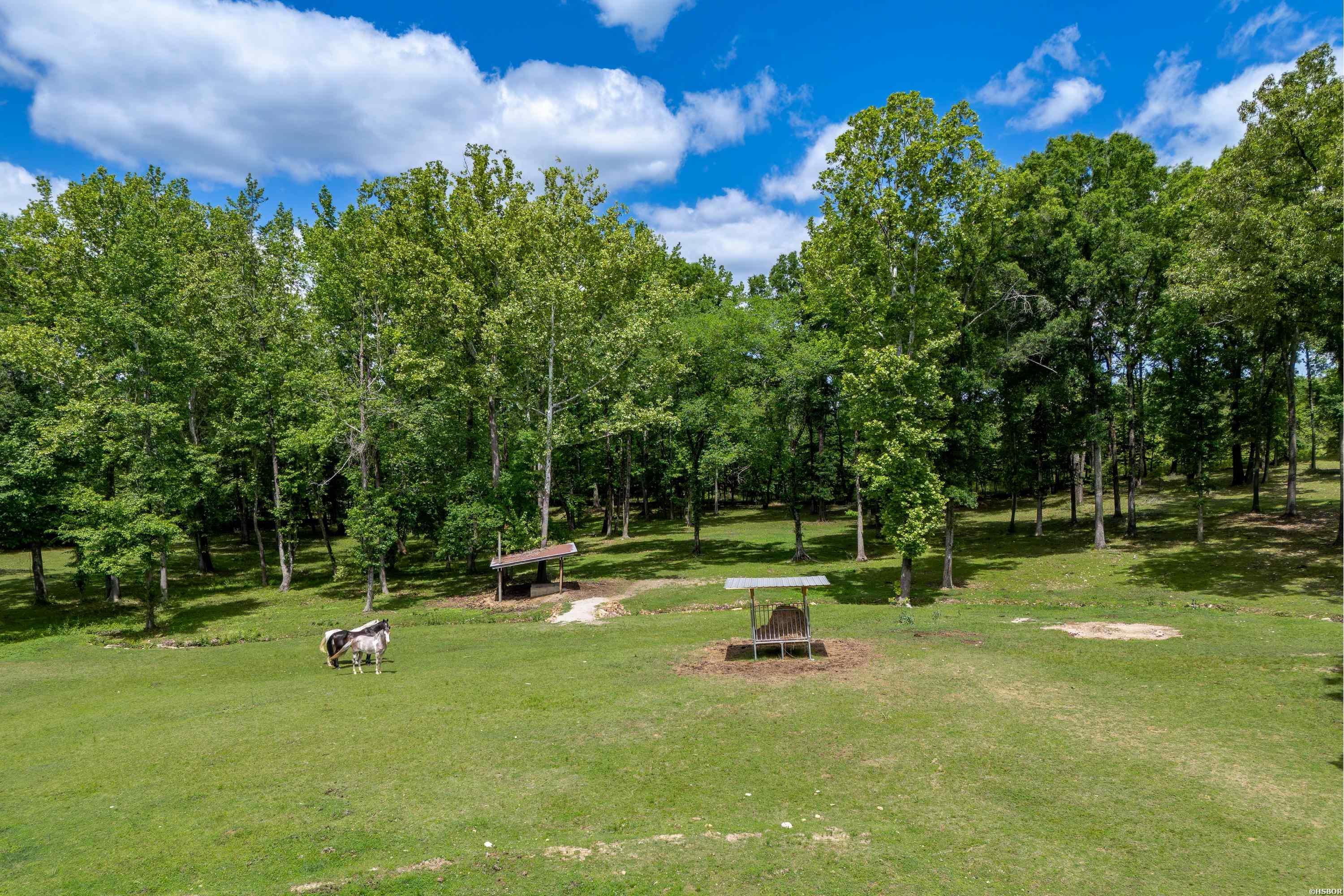 236 Honey Comb Trail Property Photo 38