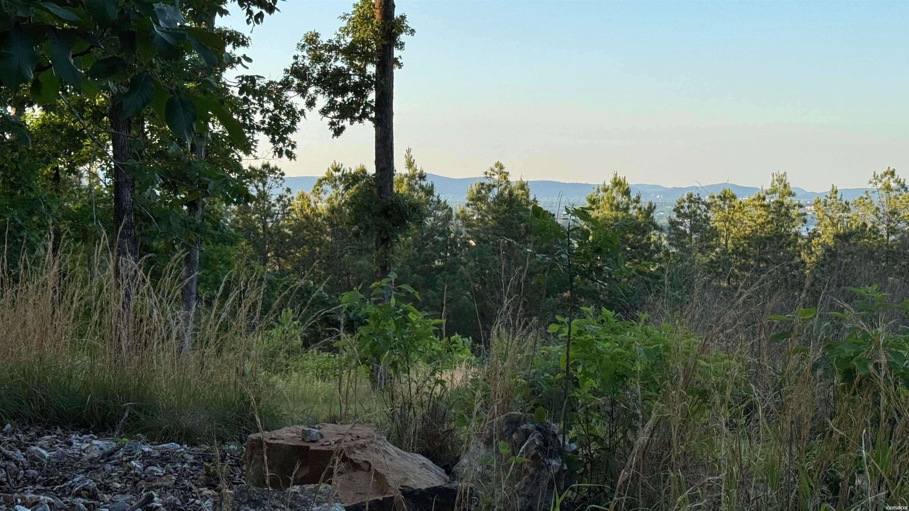 Lot 3a E Riante Trail Property Photo 4