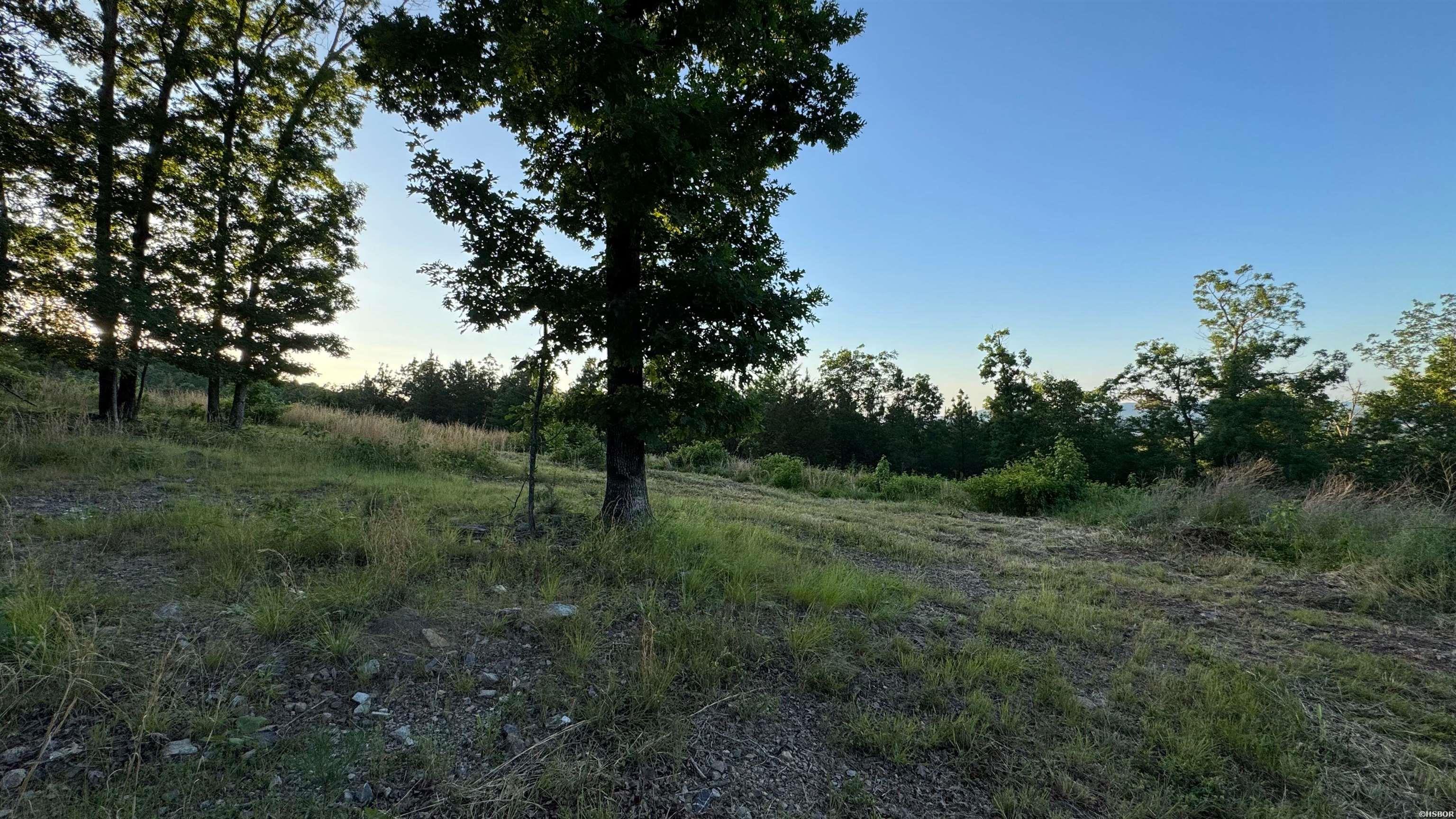 Lot 3a E Riante Trail Property Photo 5