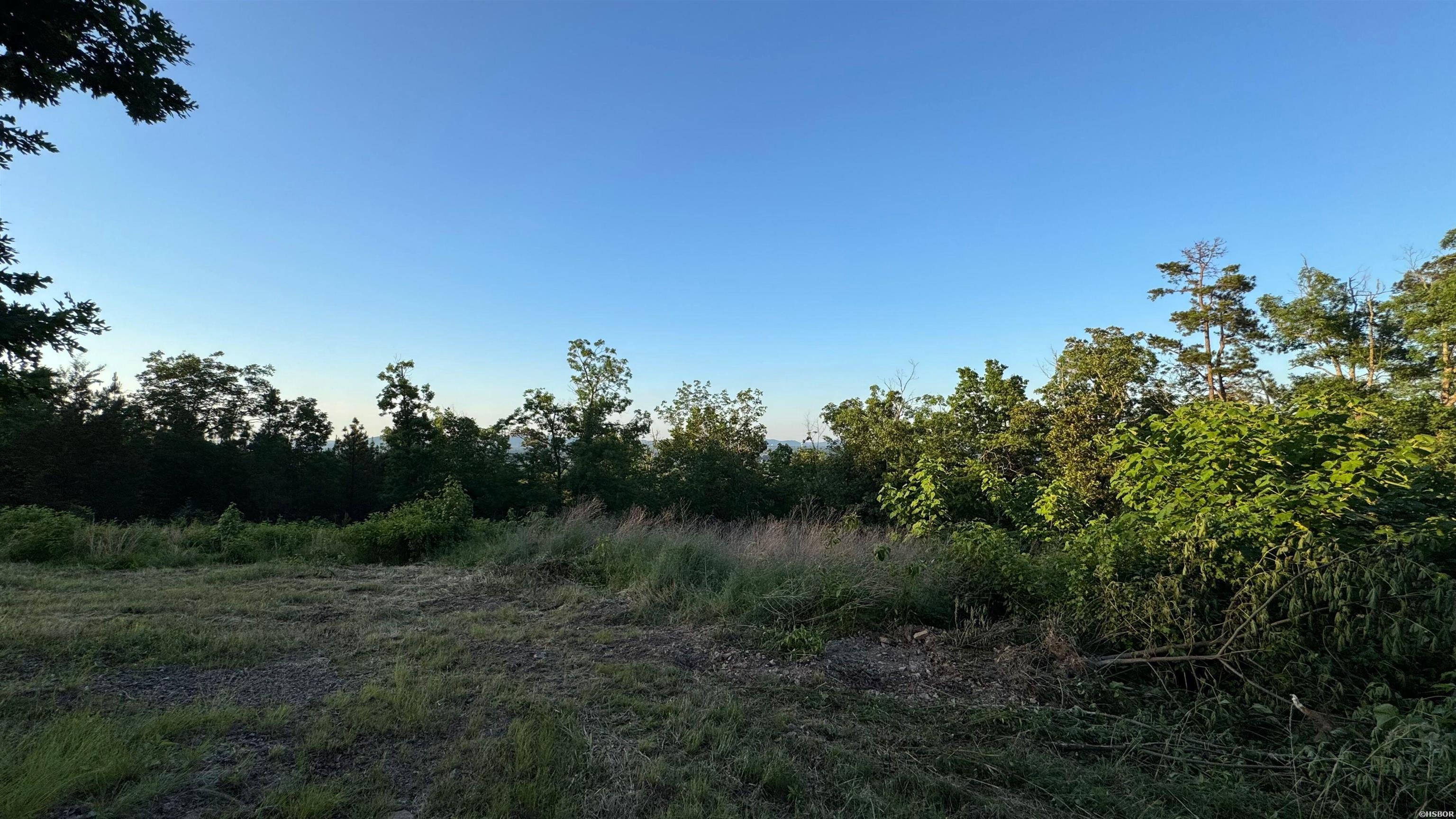 Lot 3a E Riante Trail Property Photo 6