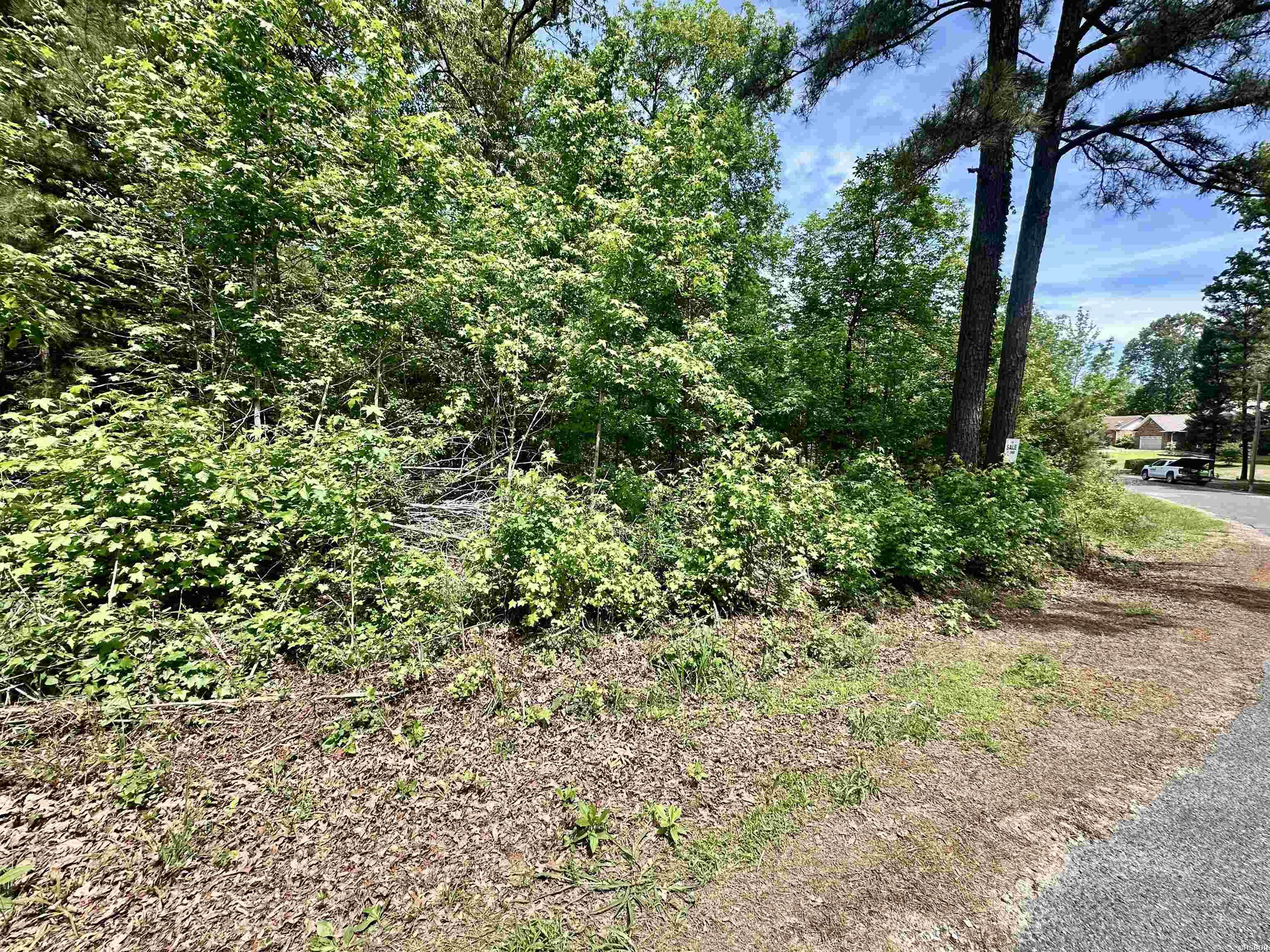 244 & 246 Scenic Drive Property Photo 5