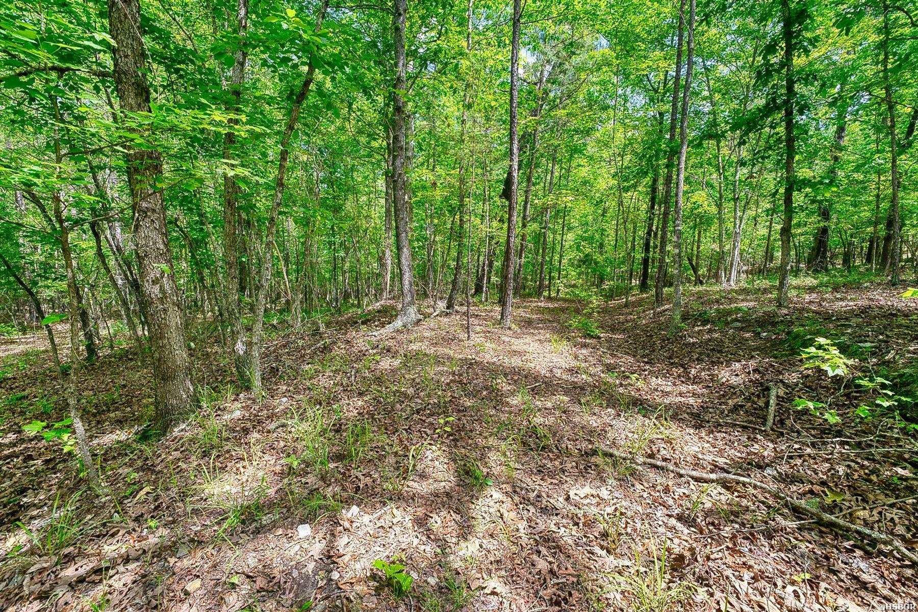 316 Stihl Road Property Photo 43