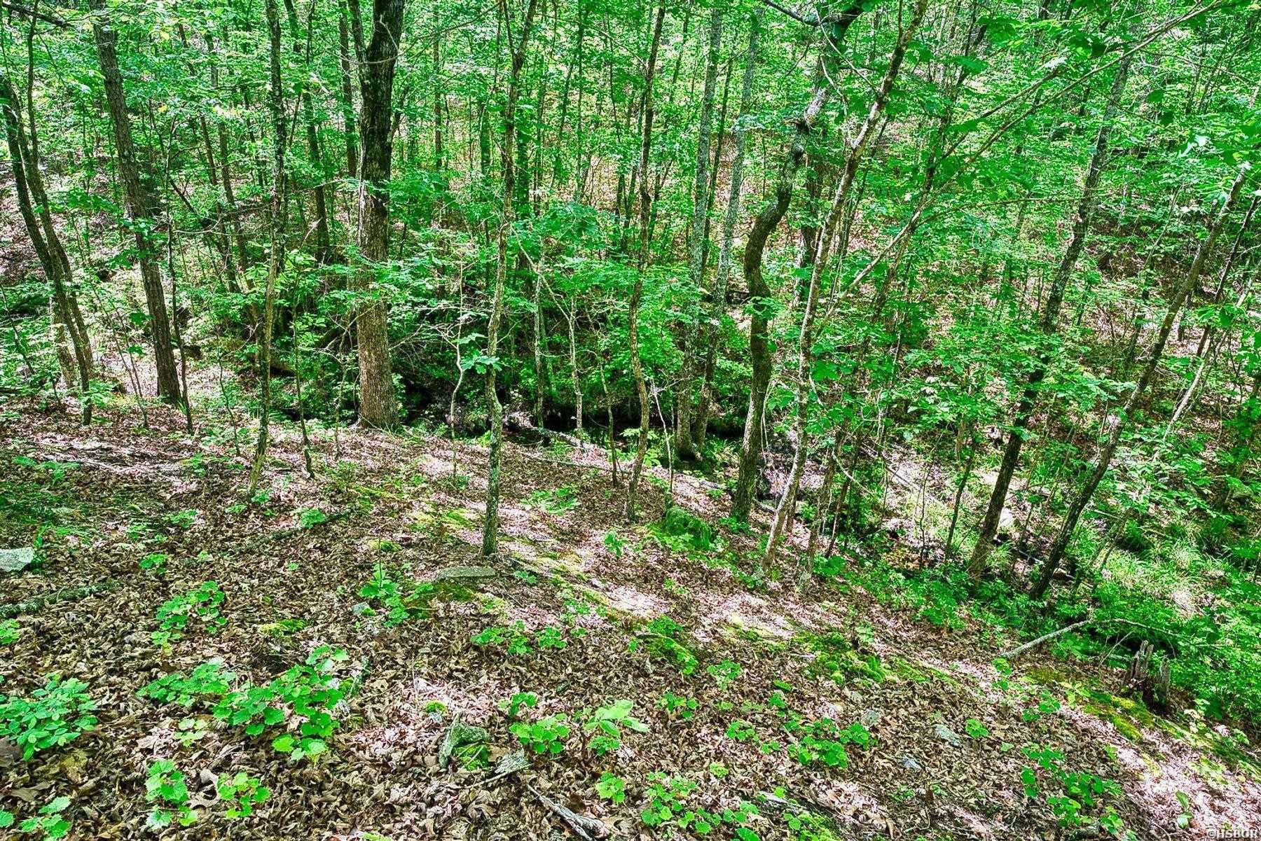 316 Stihl Road Property Photo 44