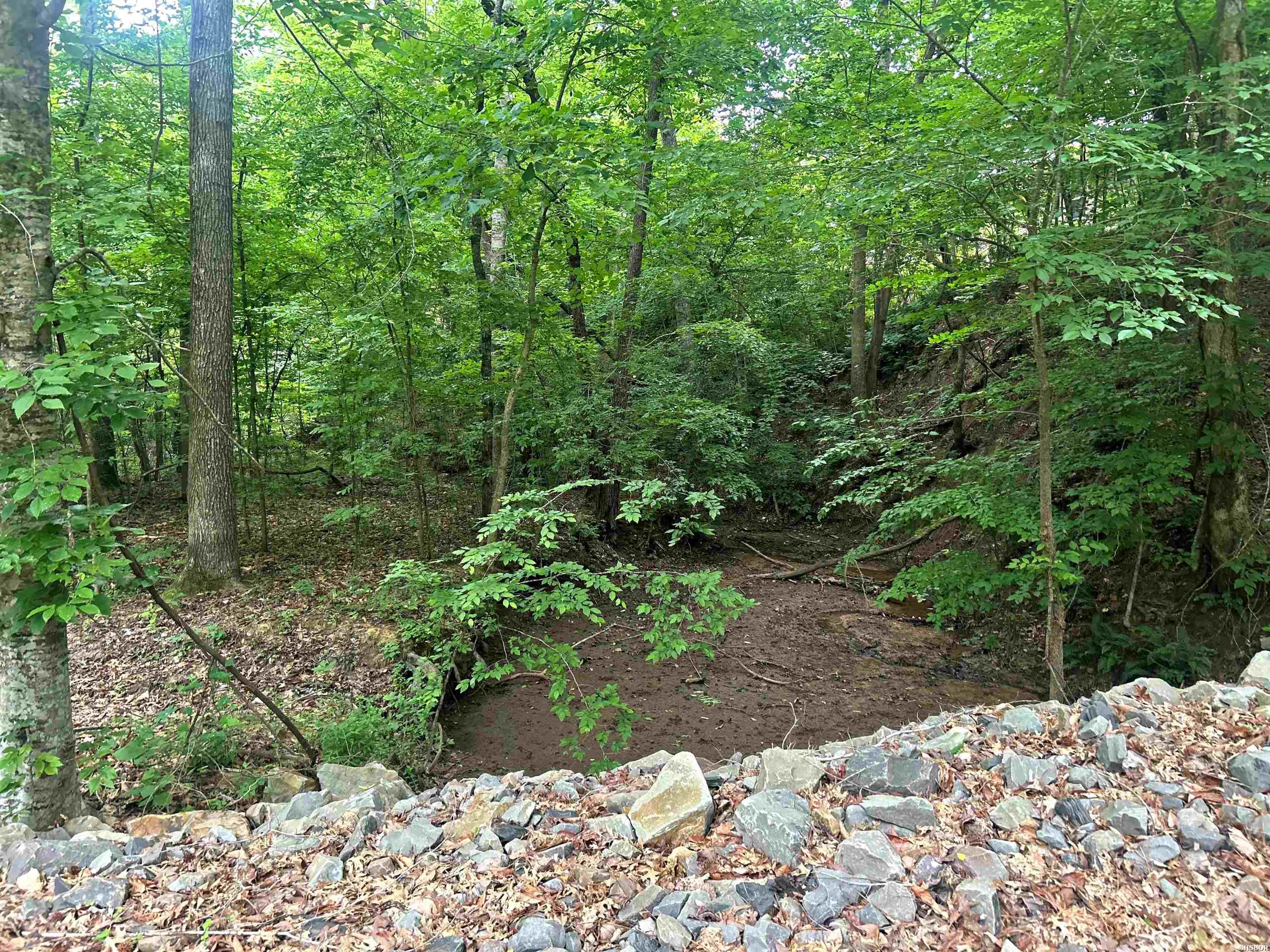 111 Apple Blossom Drive Property Photo 6