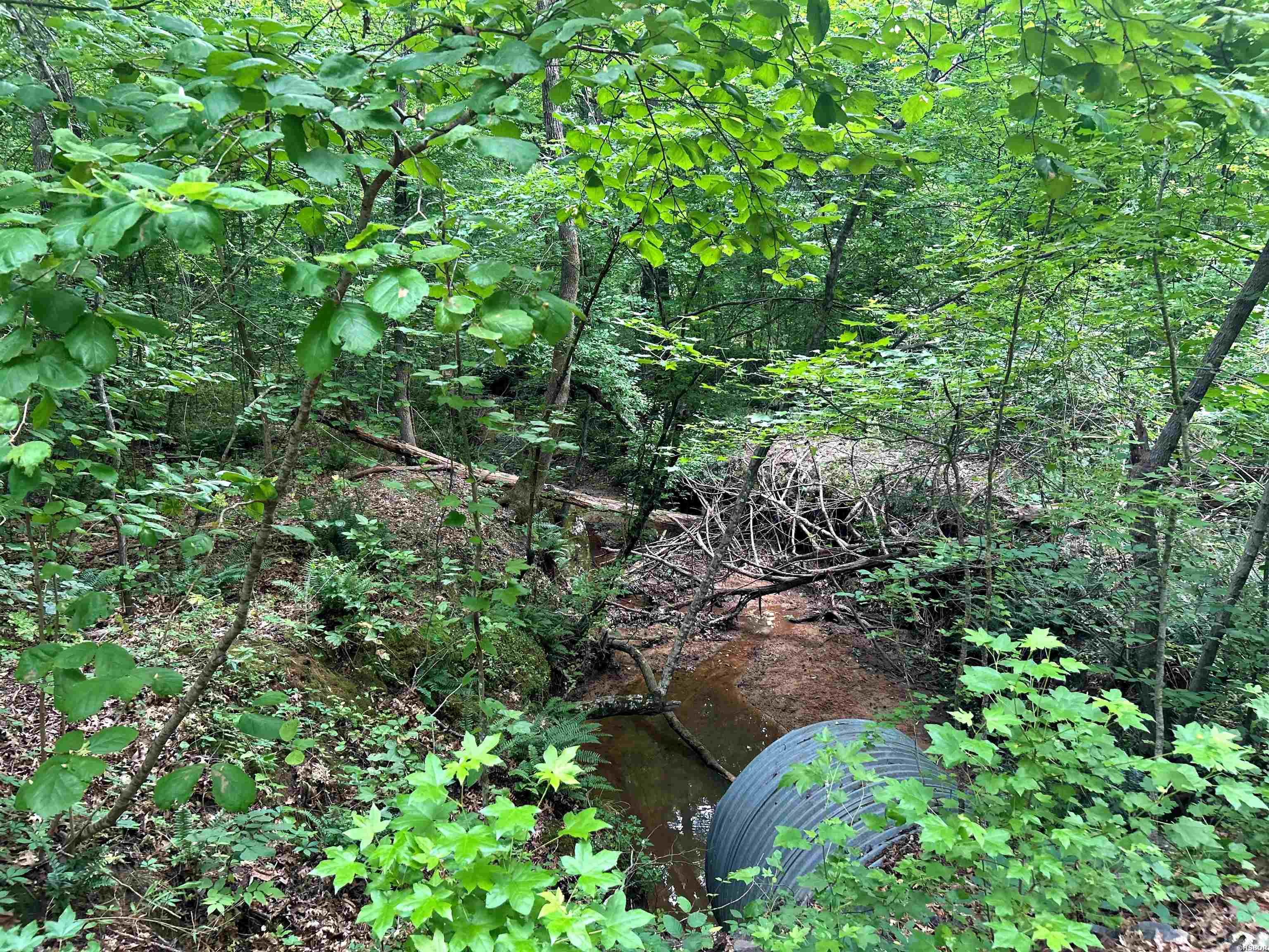 111 Apple Blossom Drive Property Photo 7