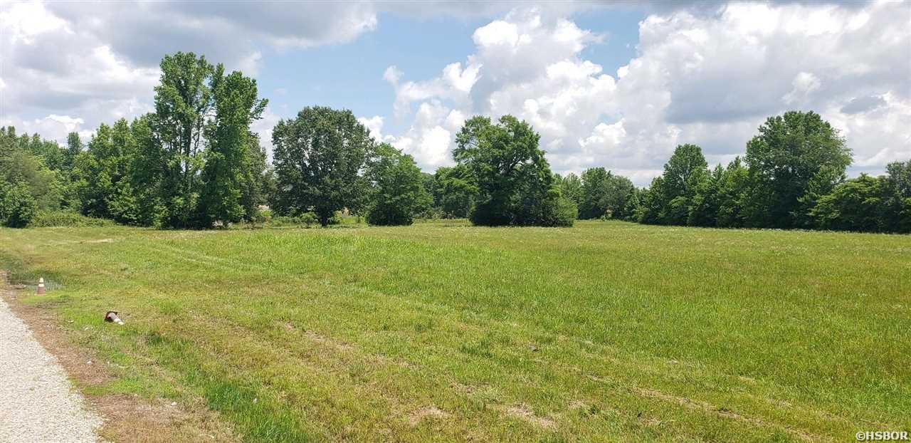 7.4 Acres Hwy 167 Property Photo 3