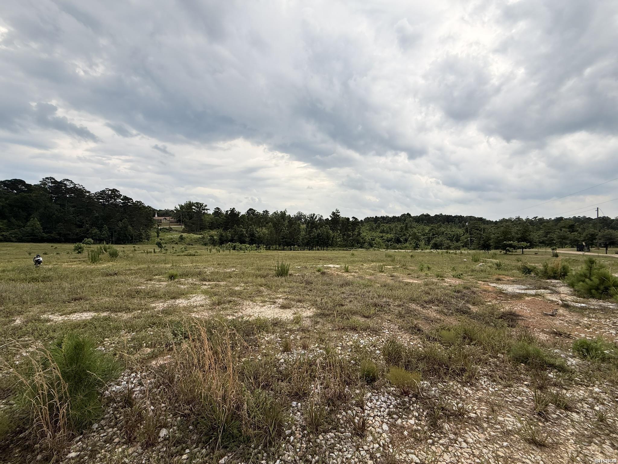 2184 Ozark Loop Property Photo 9