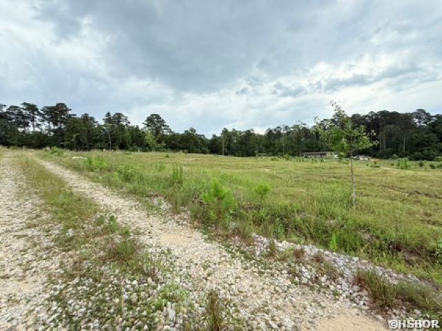 2184 Ozark Loop Property Photo 13