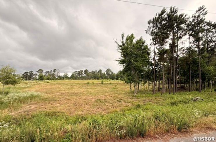 2184 Ozark Loop Property Photo 14