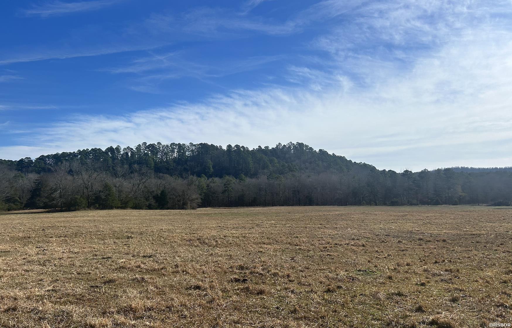 15 Acres Liberty Road Property Photo 2