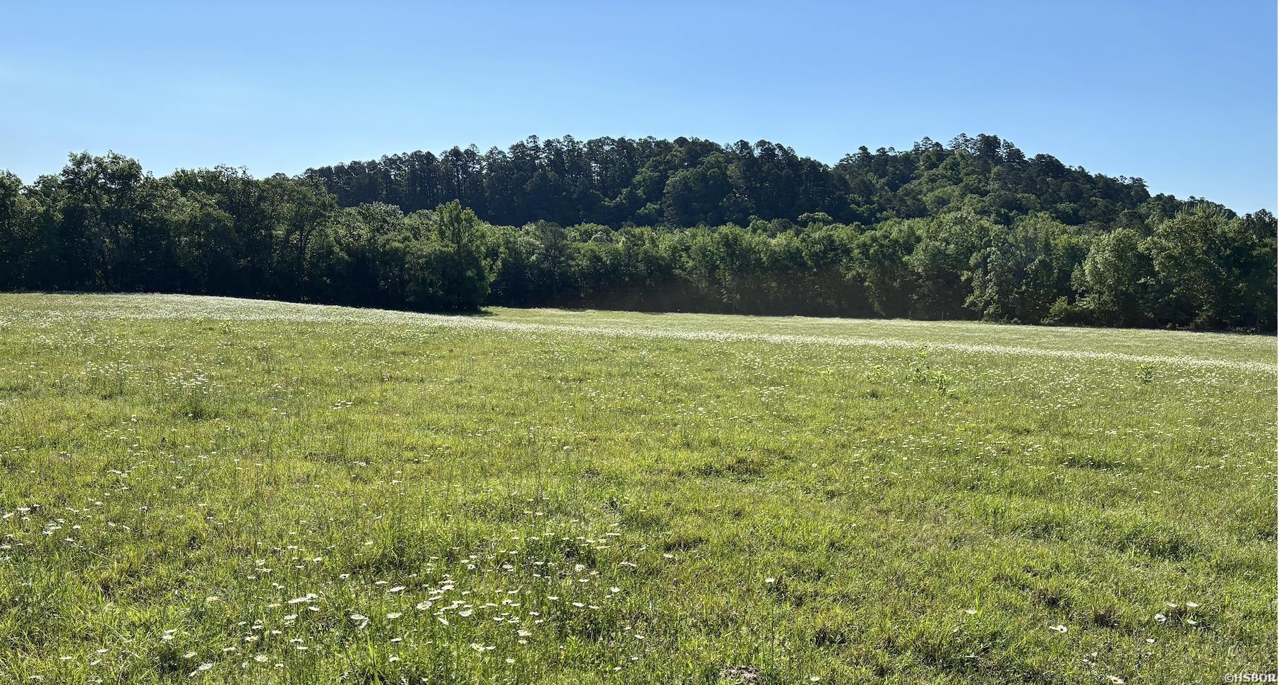 15 Acres Liberty Road Property Photo 3