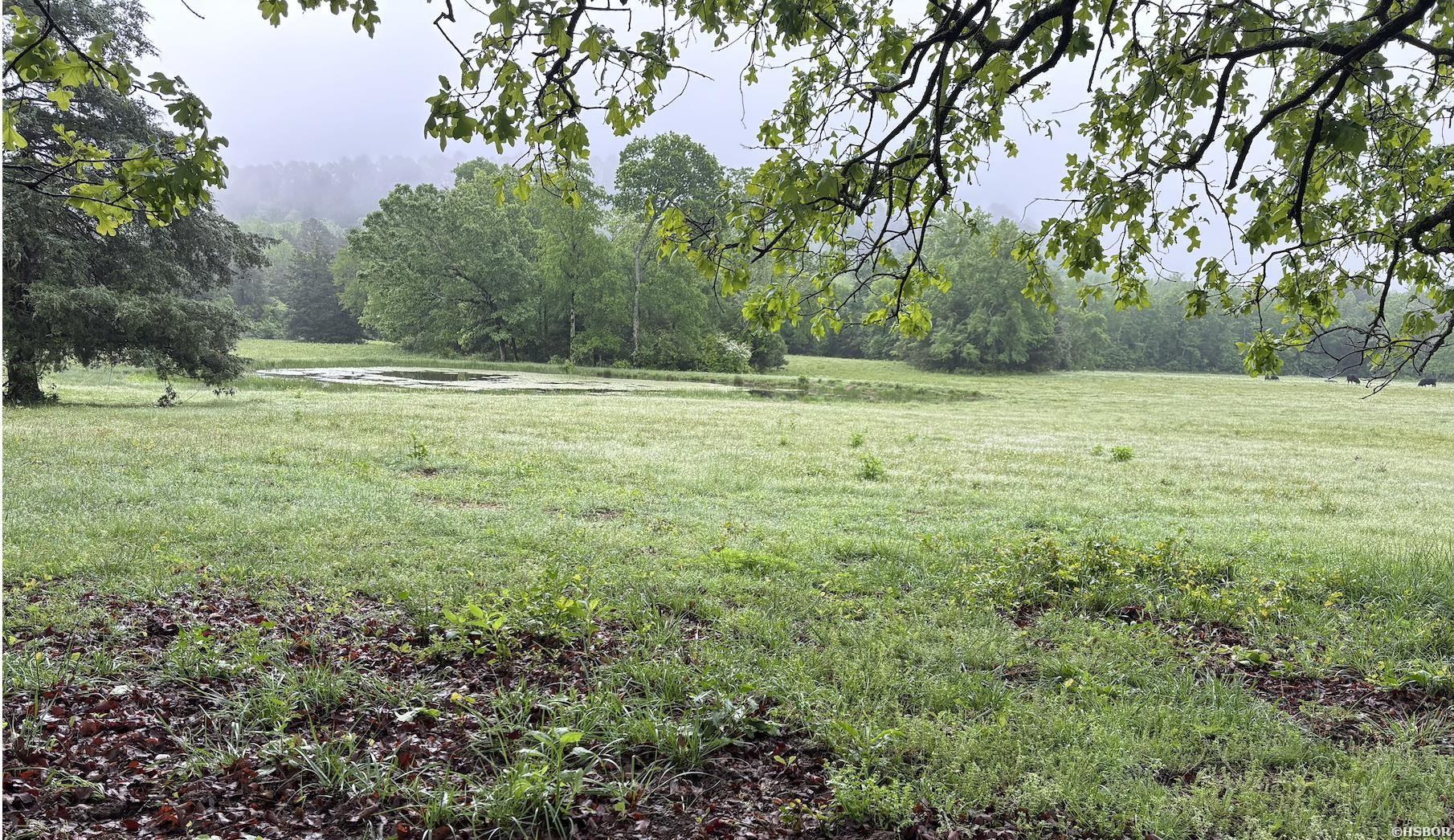 15 Acres Liberty Road Property Photo 5