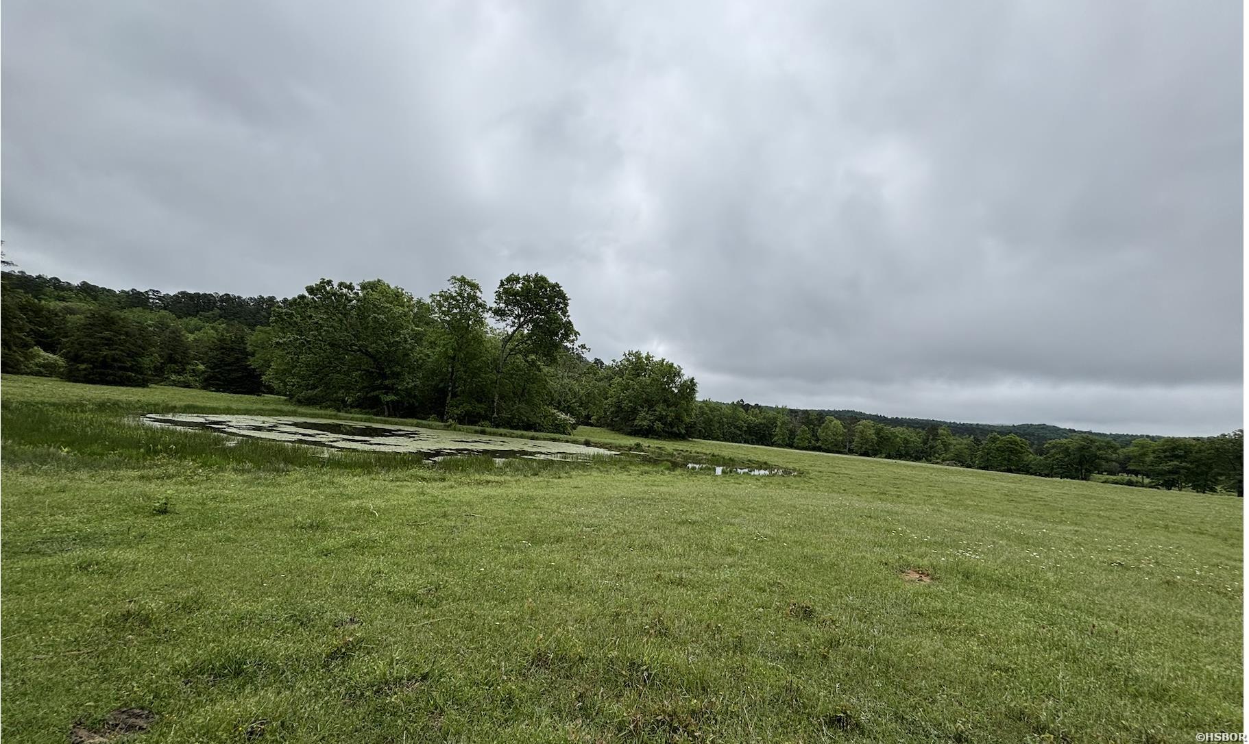 15 Acres Liberty Road Property Photo 6