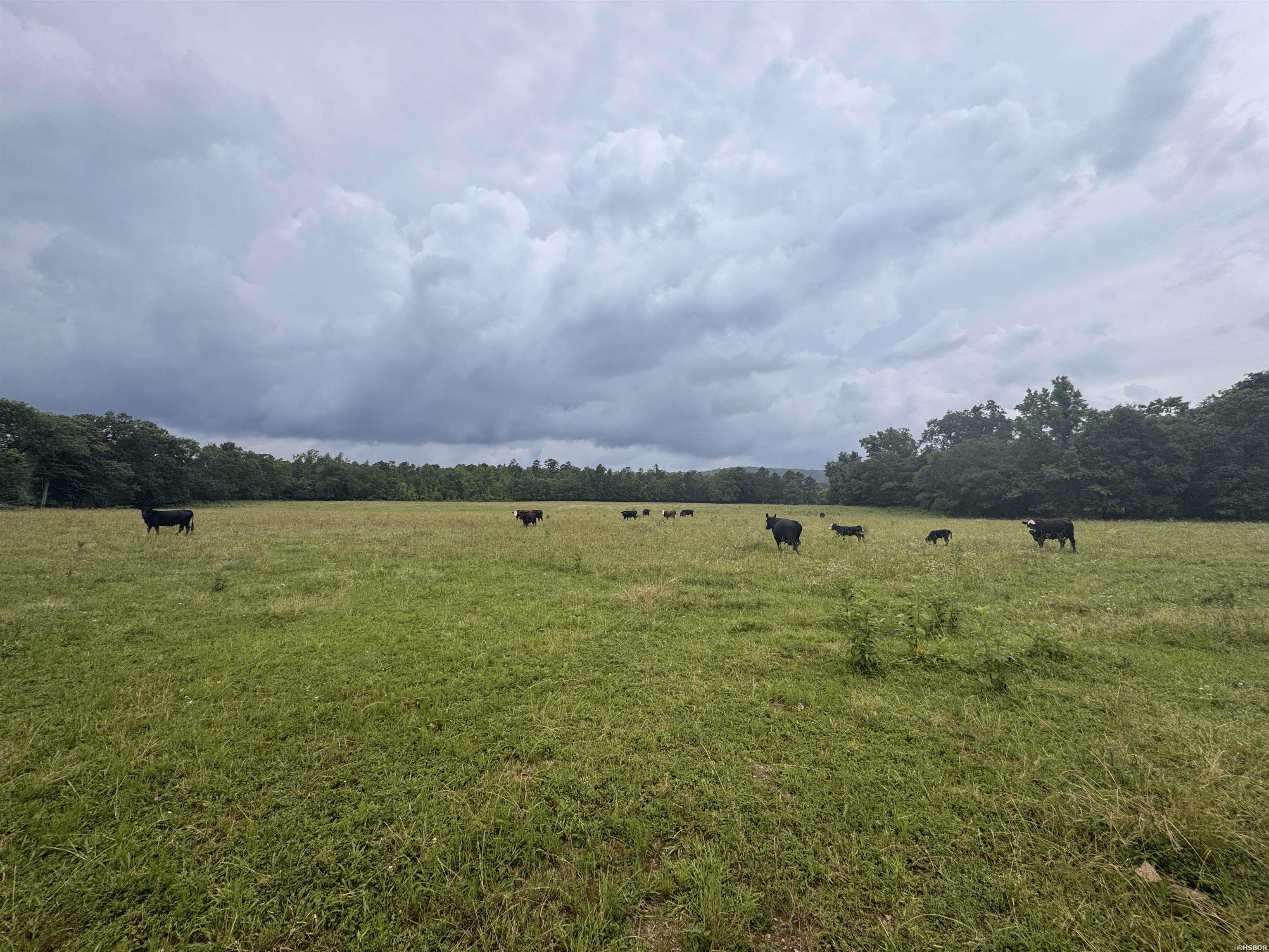 15 Acres Liberty Road Property Photo 9