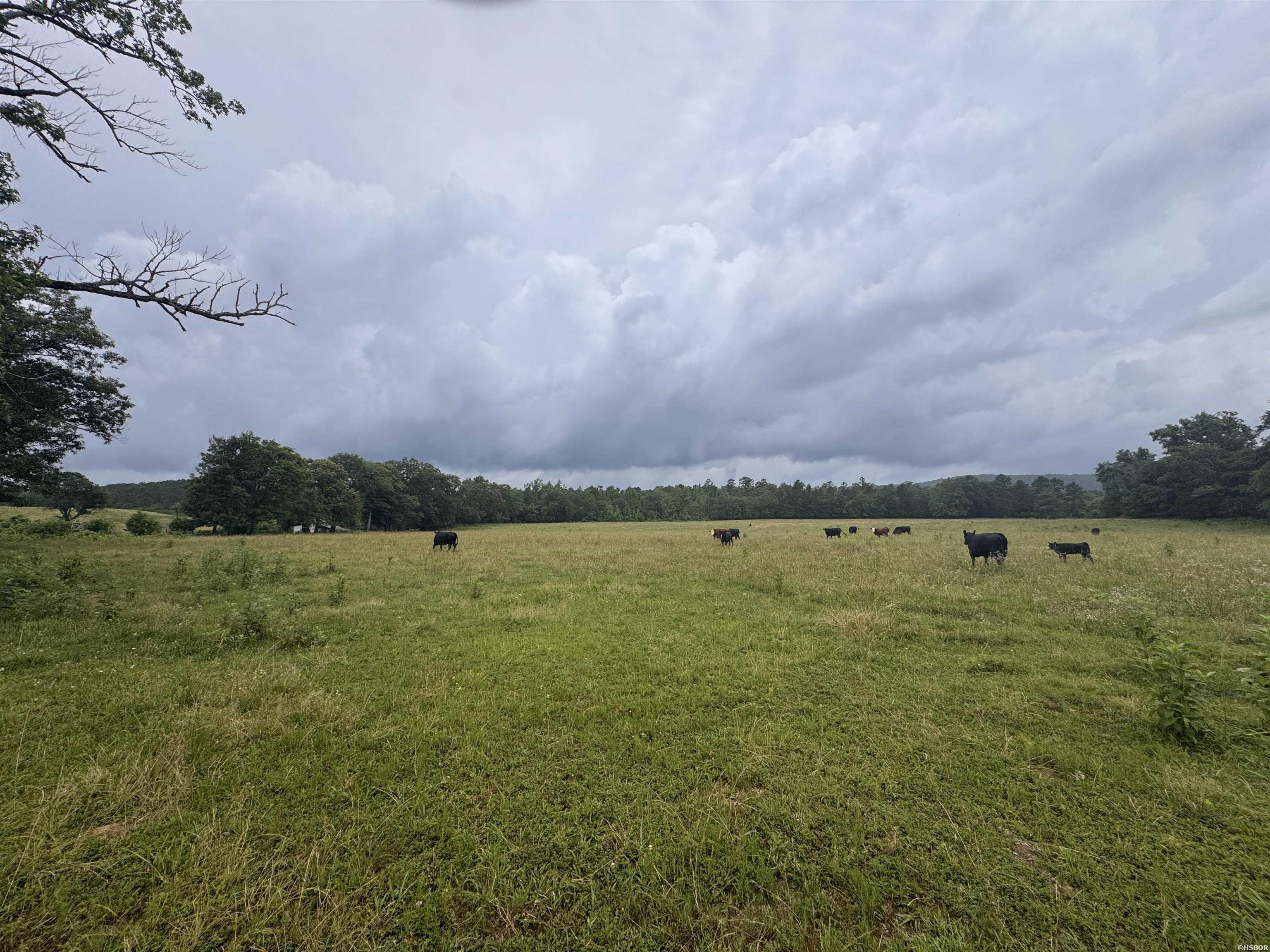 15 Acres Liberty Road Property Photo 10