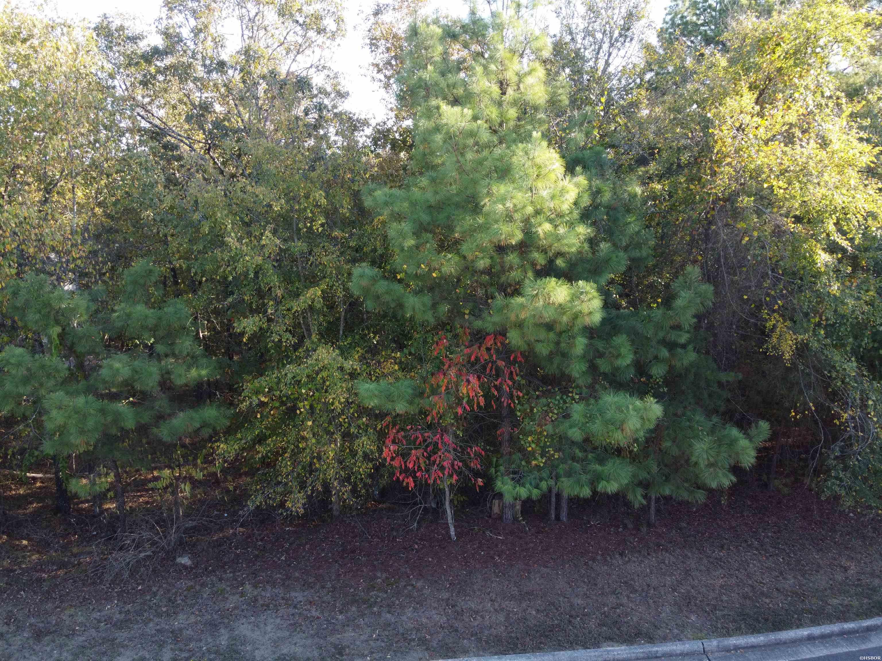 000 Dellmere Property Photo 7