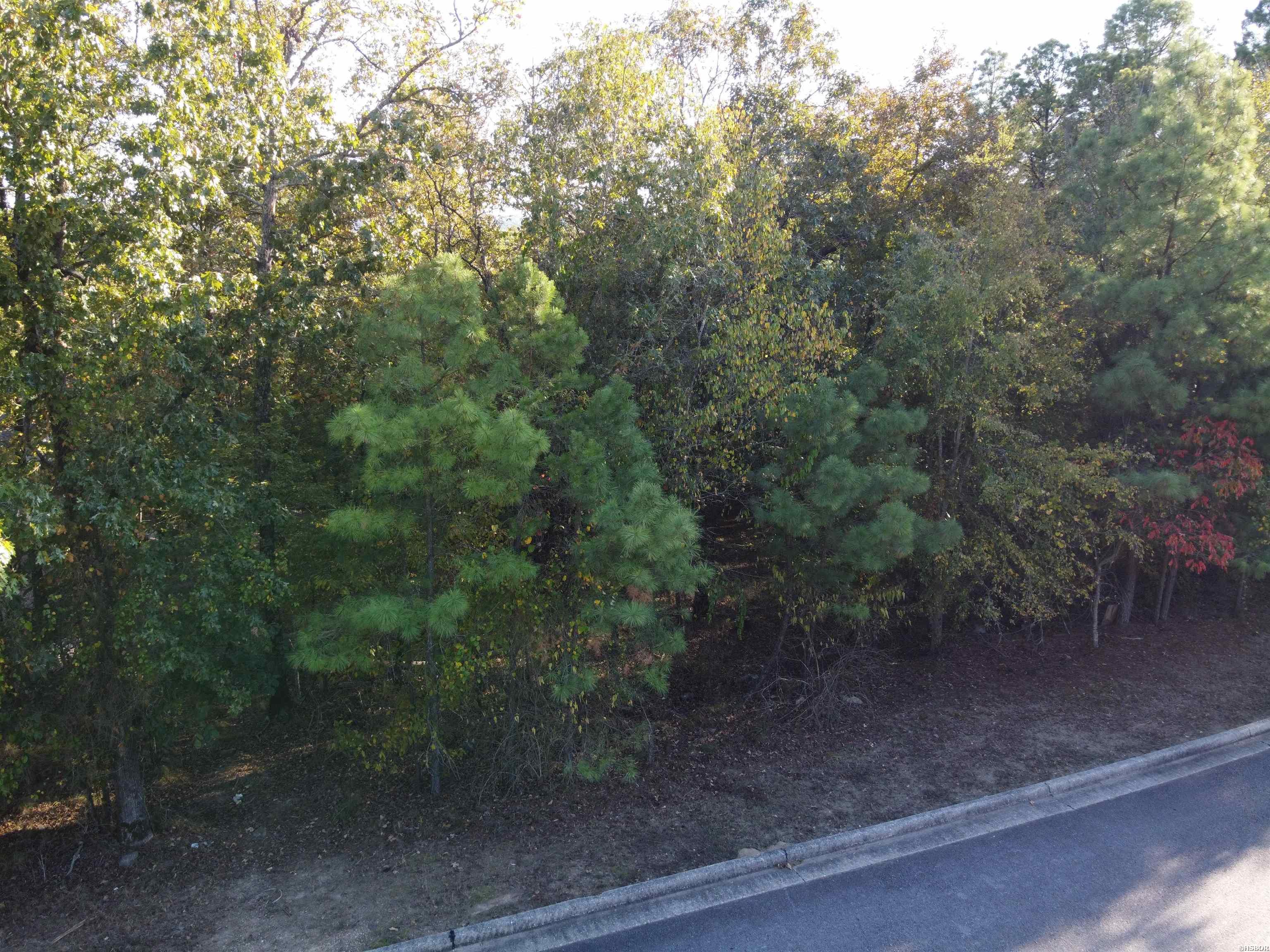 000 Dellmere Property Photo 8