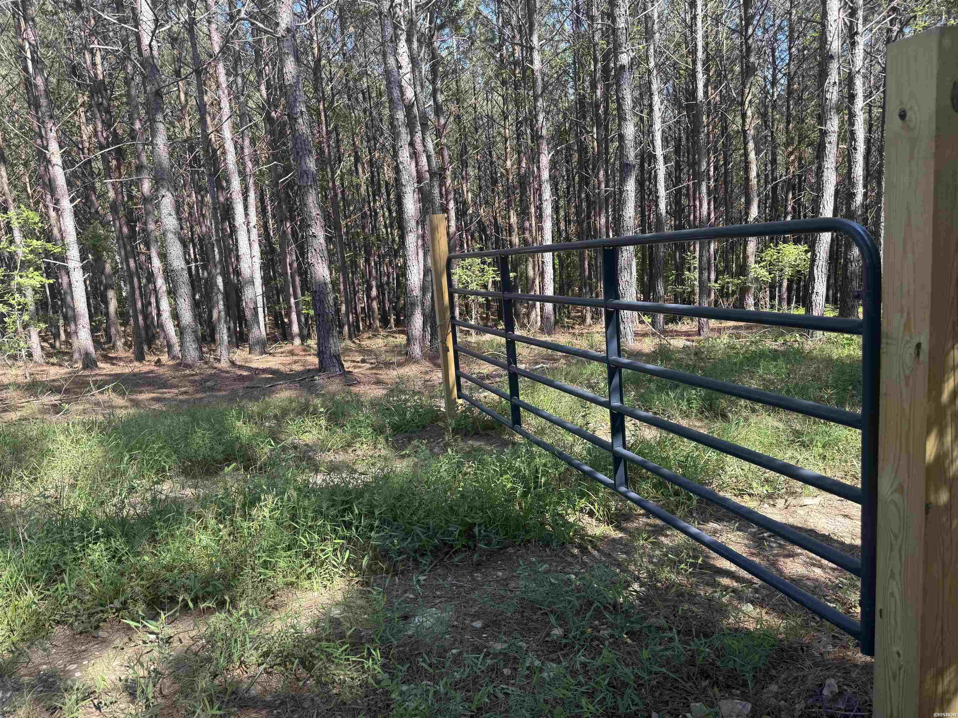 571 Stihl Property Photo 4