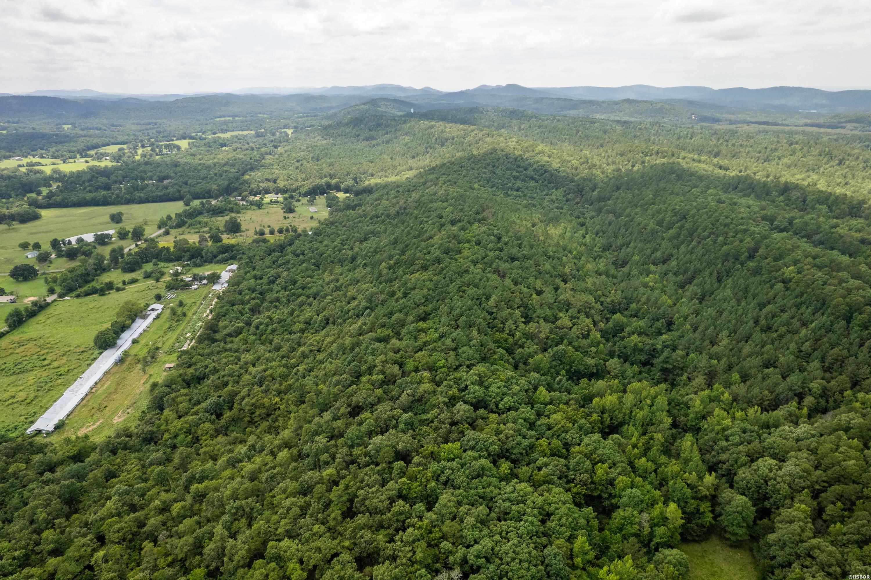 Ragweed Valley Road Property Photo 10