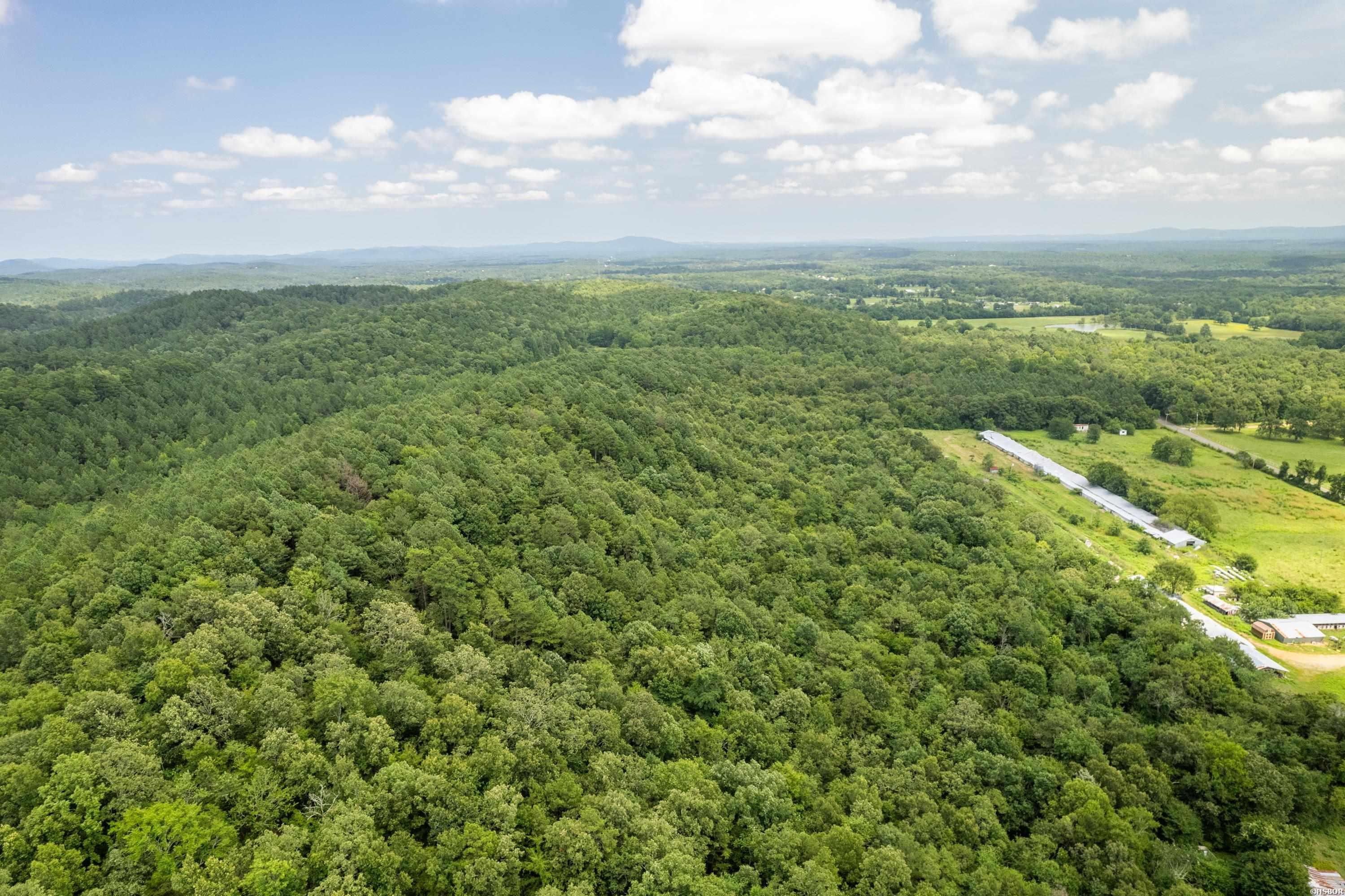 Ragweed Valley Road Property Photo 15