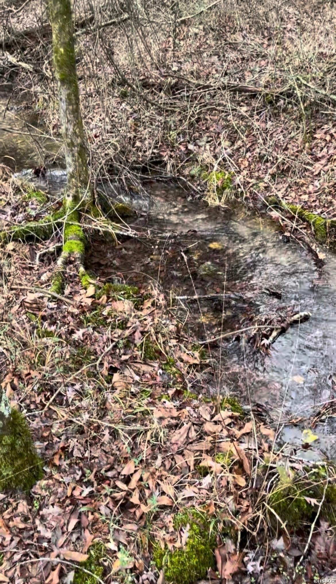 Ragweed Valley Road Property Photo 17