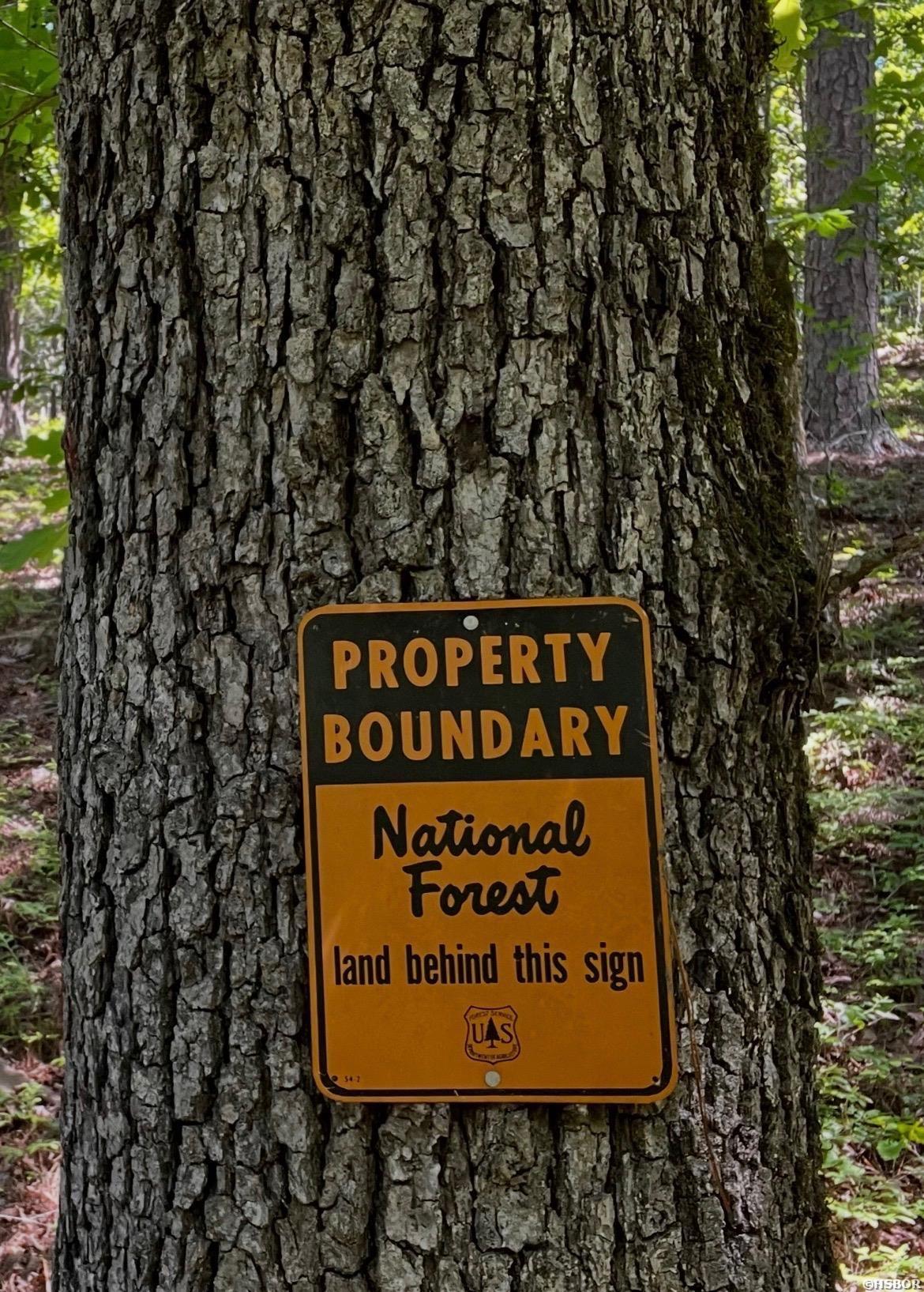 Ragweed Valley Road Property Photo 18