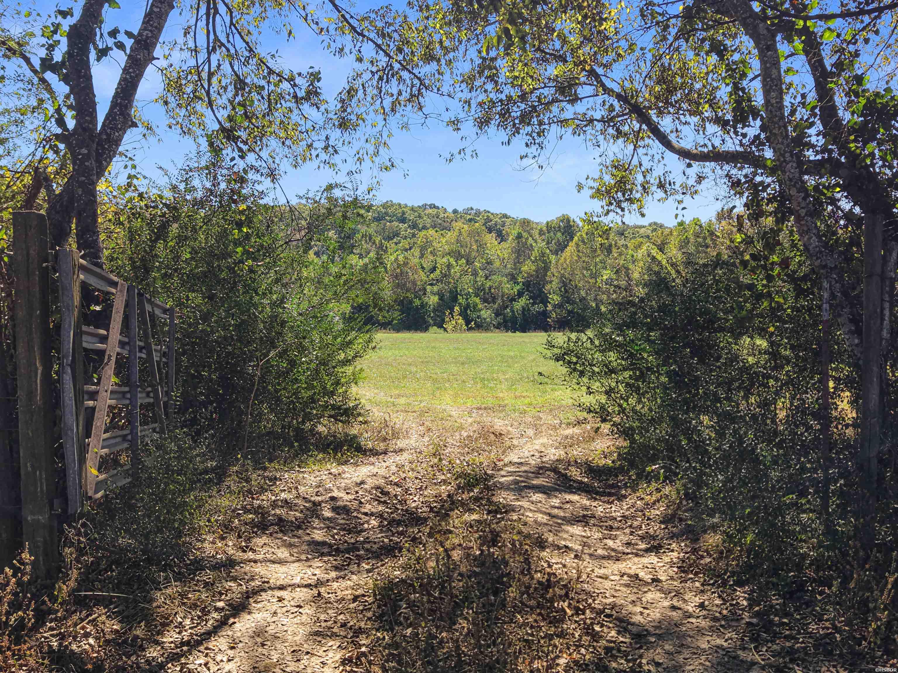 360 Hwy 27 Property Photo 18