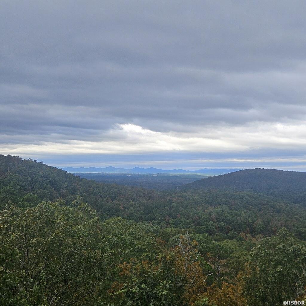 2874 Copper Hollow Trail Property Photo 33