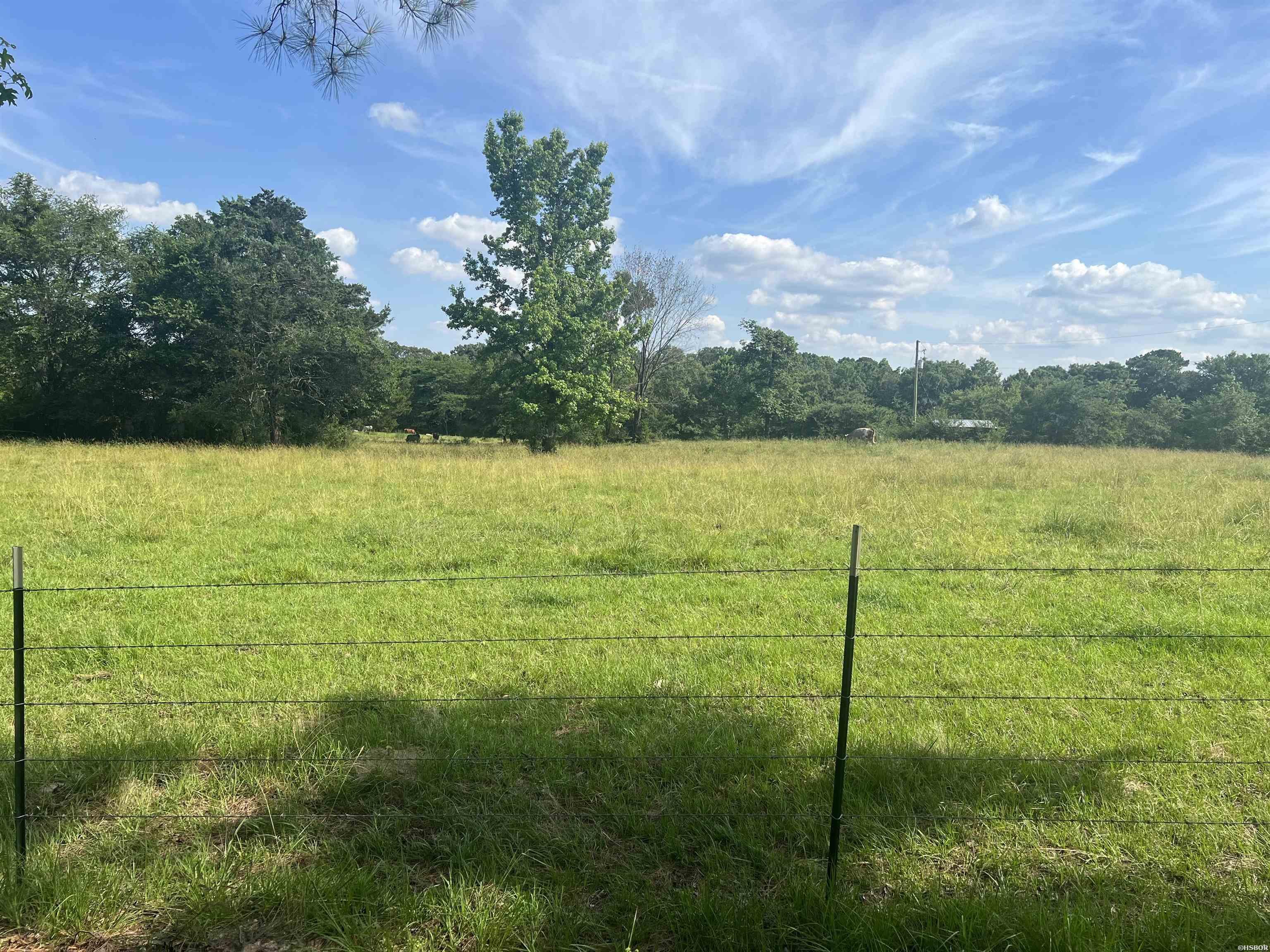 Xx Mountain View Property Photo 4