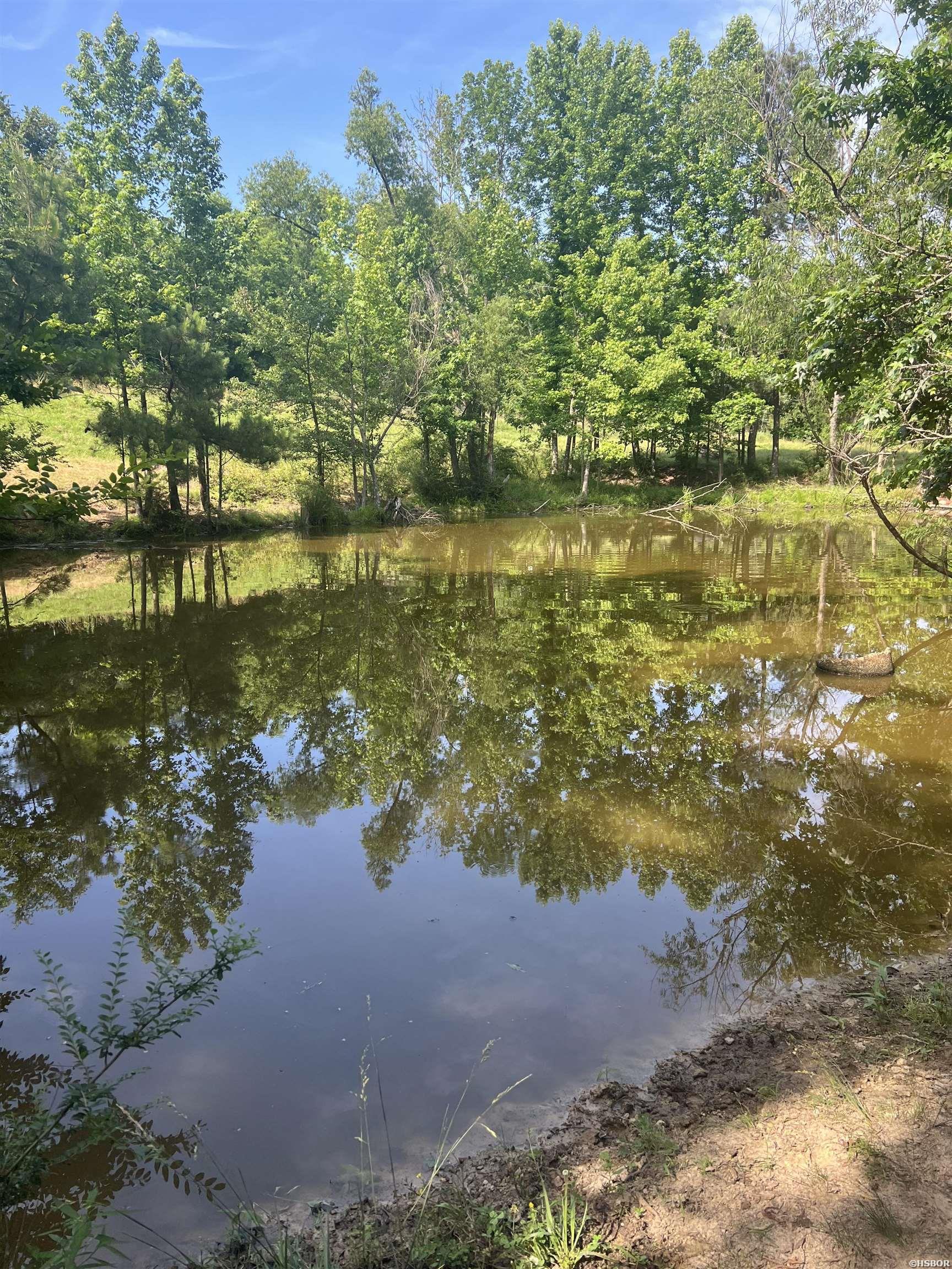 Xx Mountain View Property Photo 8