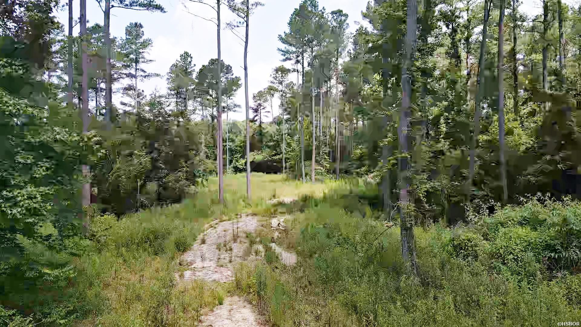 1028 Red Wings Road Property Photo 2