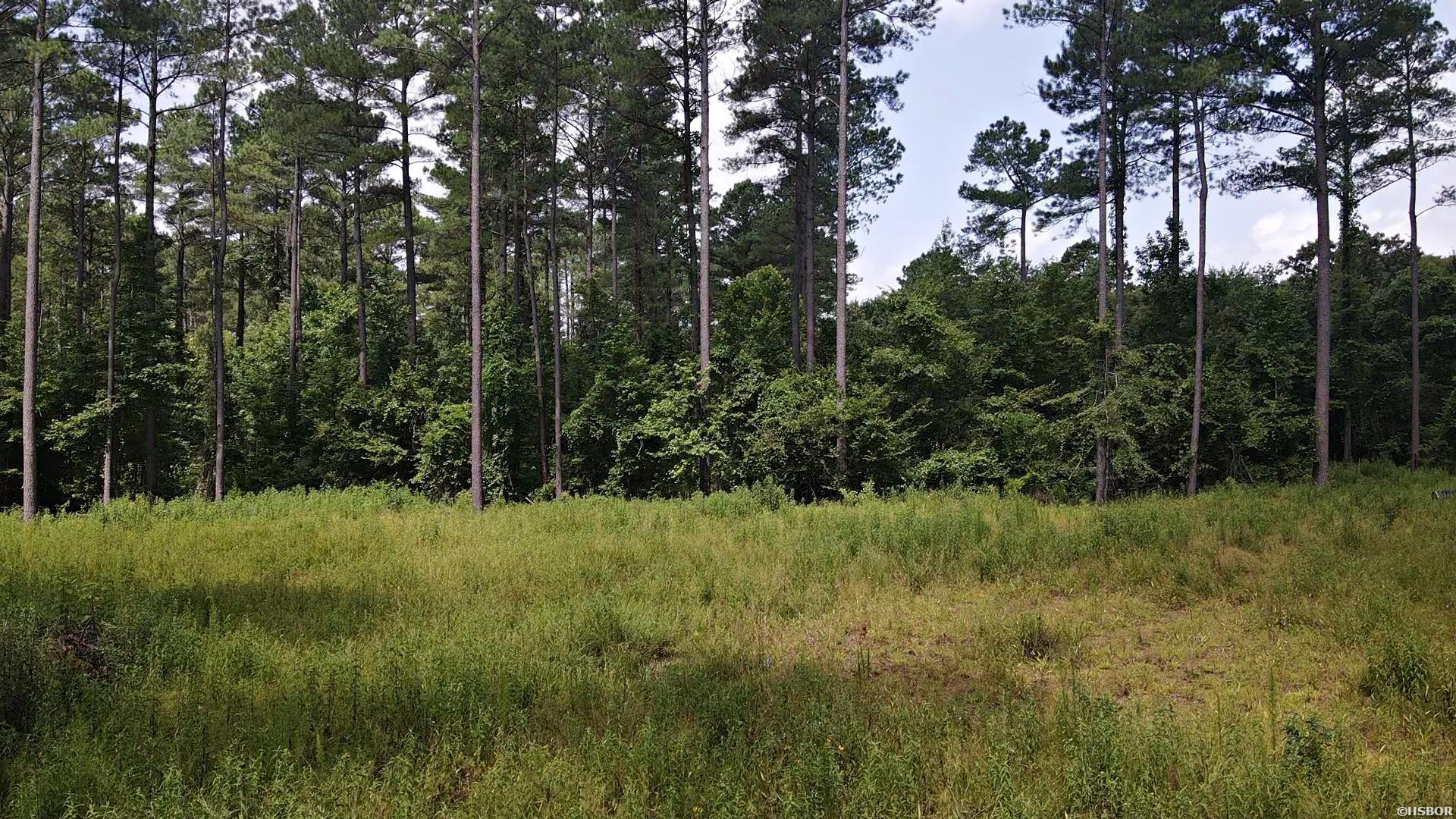 1028 Red Wings Road Property Photo 4
