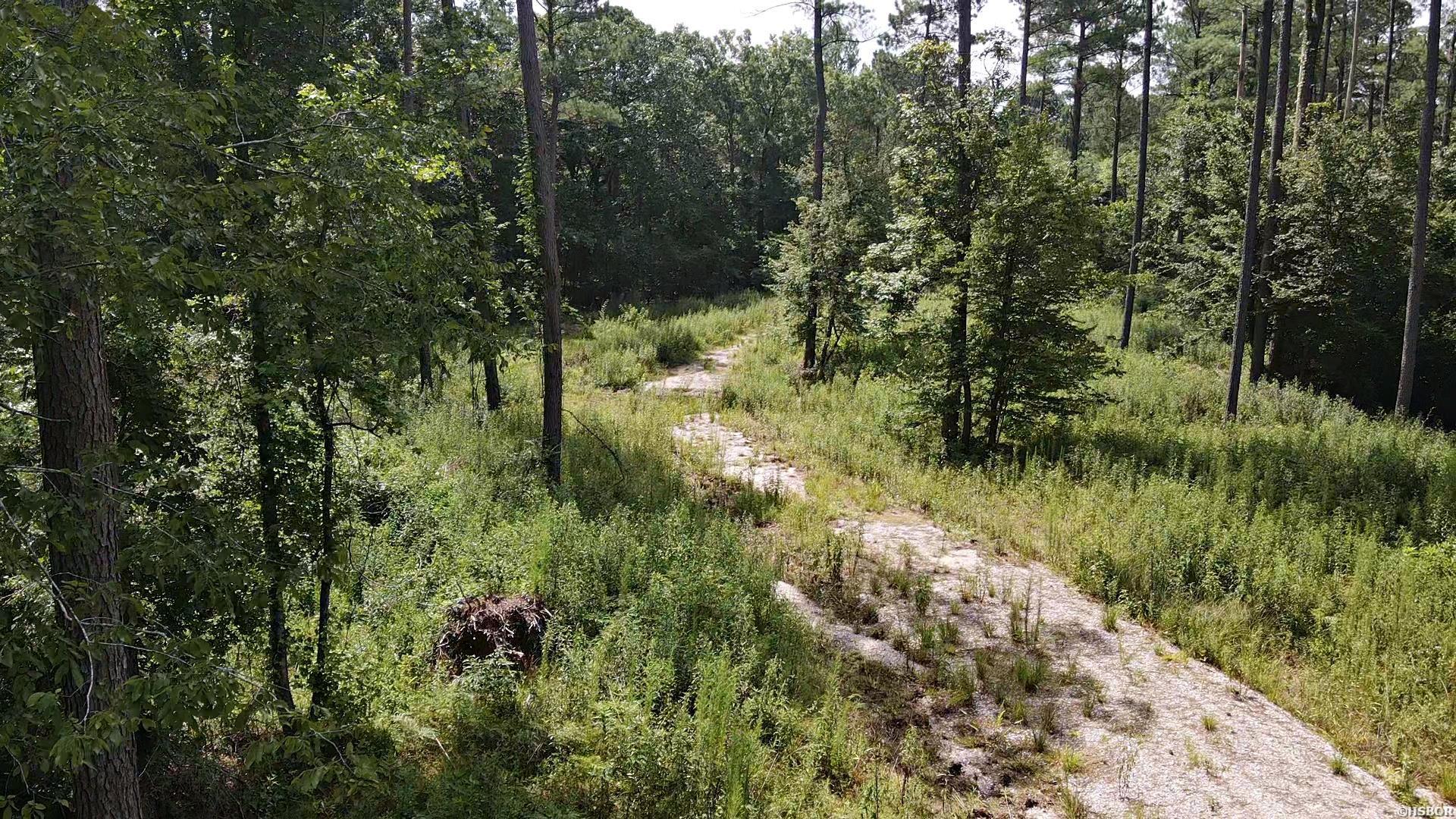 1028 Red Wings Road Property Photo 5