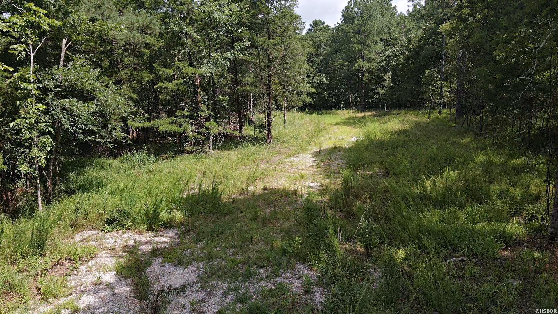 1028 Red Wings Road Property Photo 6