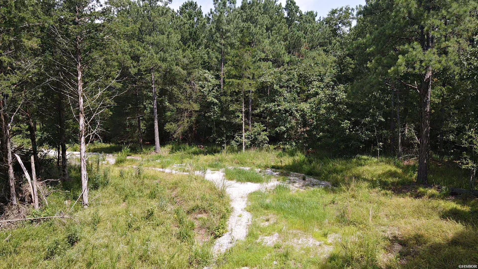 1028 Red Wings Road Property Photo 9