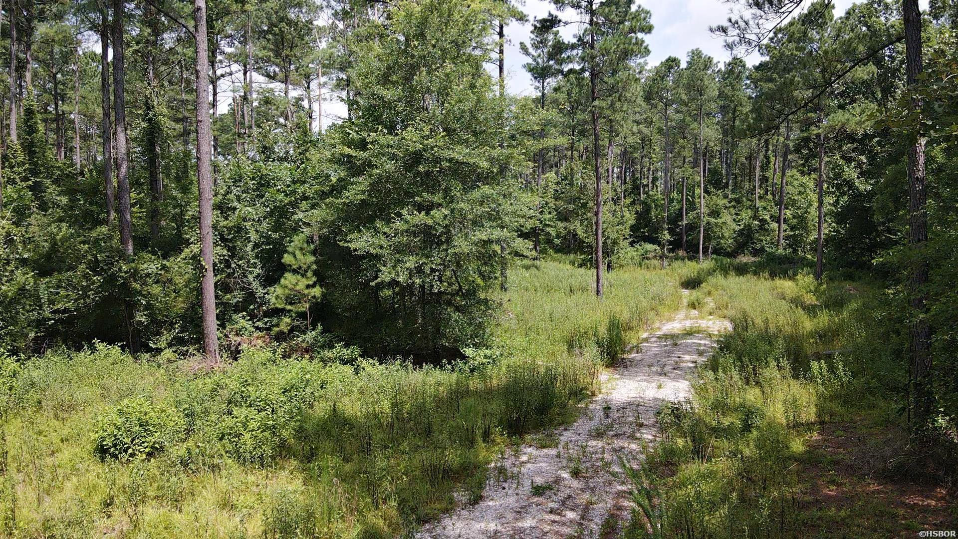 1028 Red Wings Road Property Photo 10