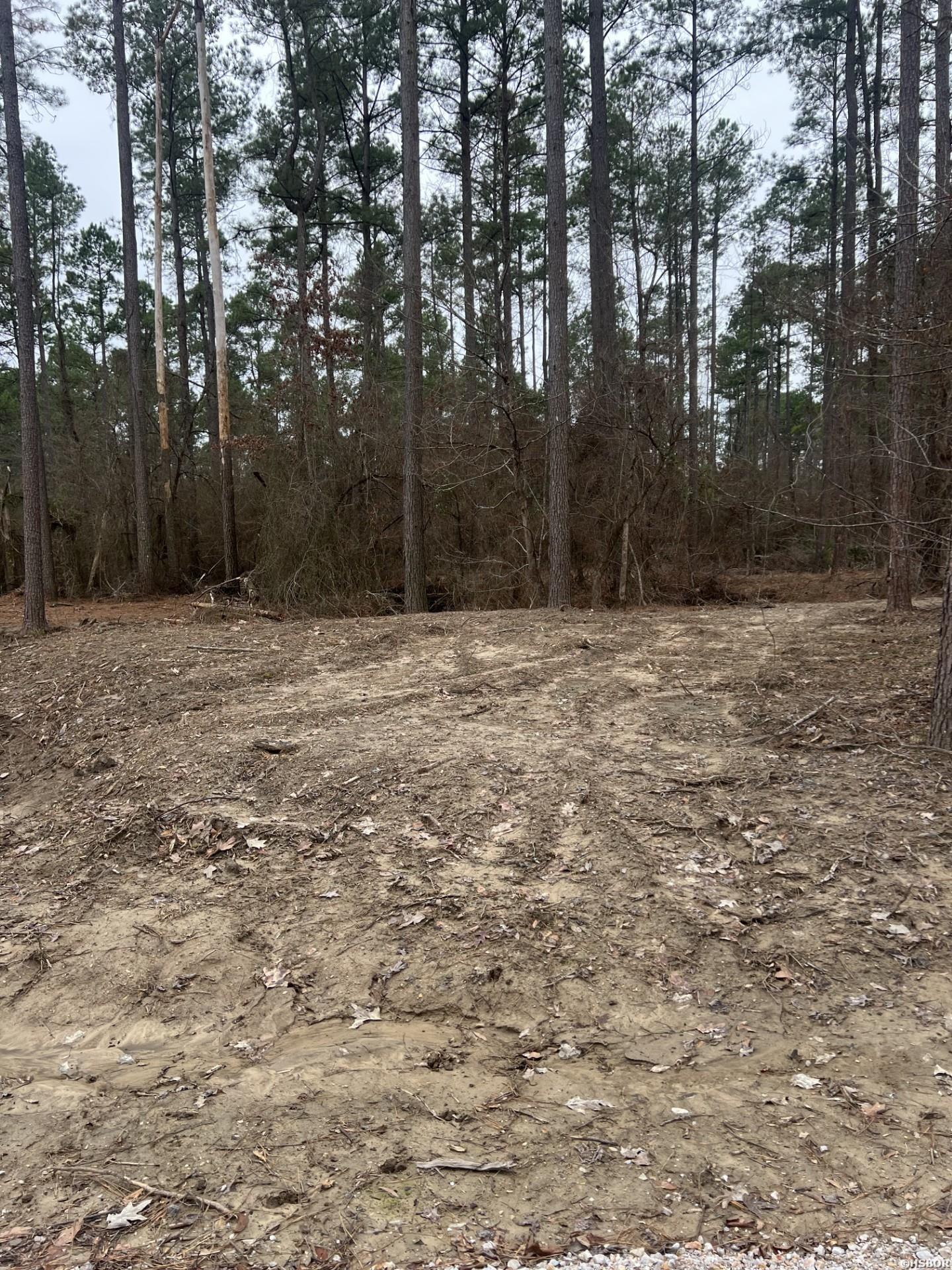 1028 Red Wings Road Property Photo 18