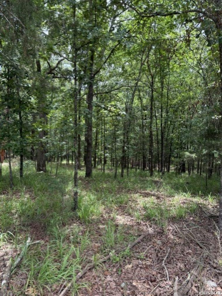 Tbd Wagon Wheel Terrace Property Photo 3