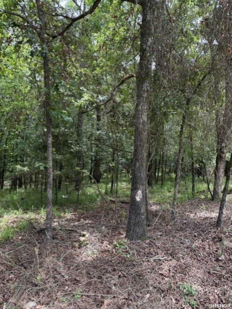 Tbd Wagon Wheel Terrace Property Photo 4