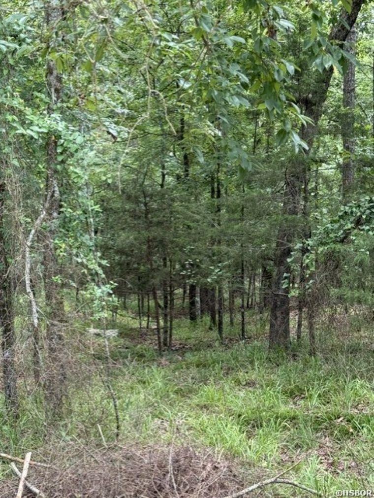 Tbd Wagon Wheel Terrace Property Photo 5