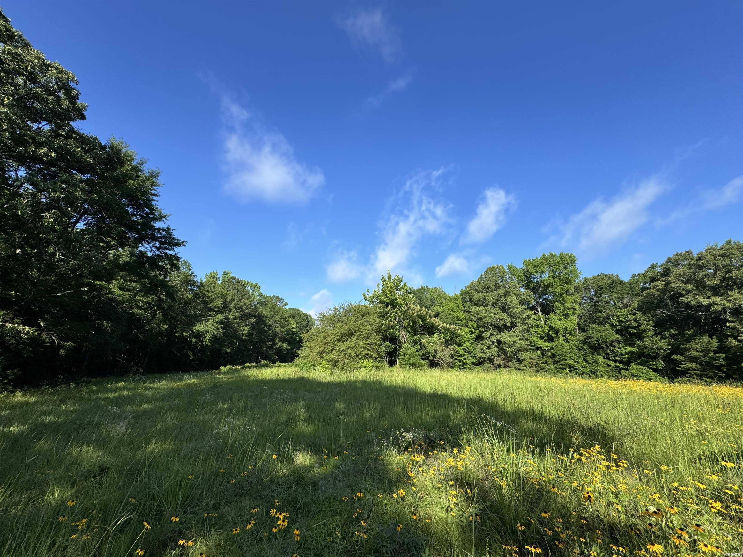 2.25 Acres Cuffman Mill Road Property Photo 2