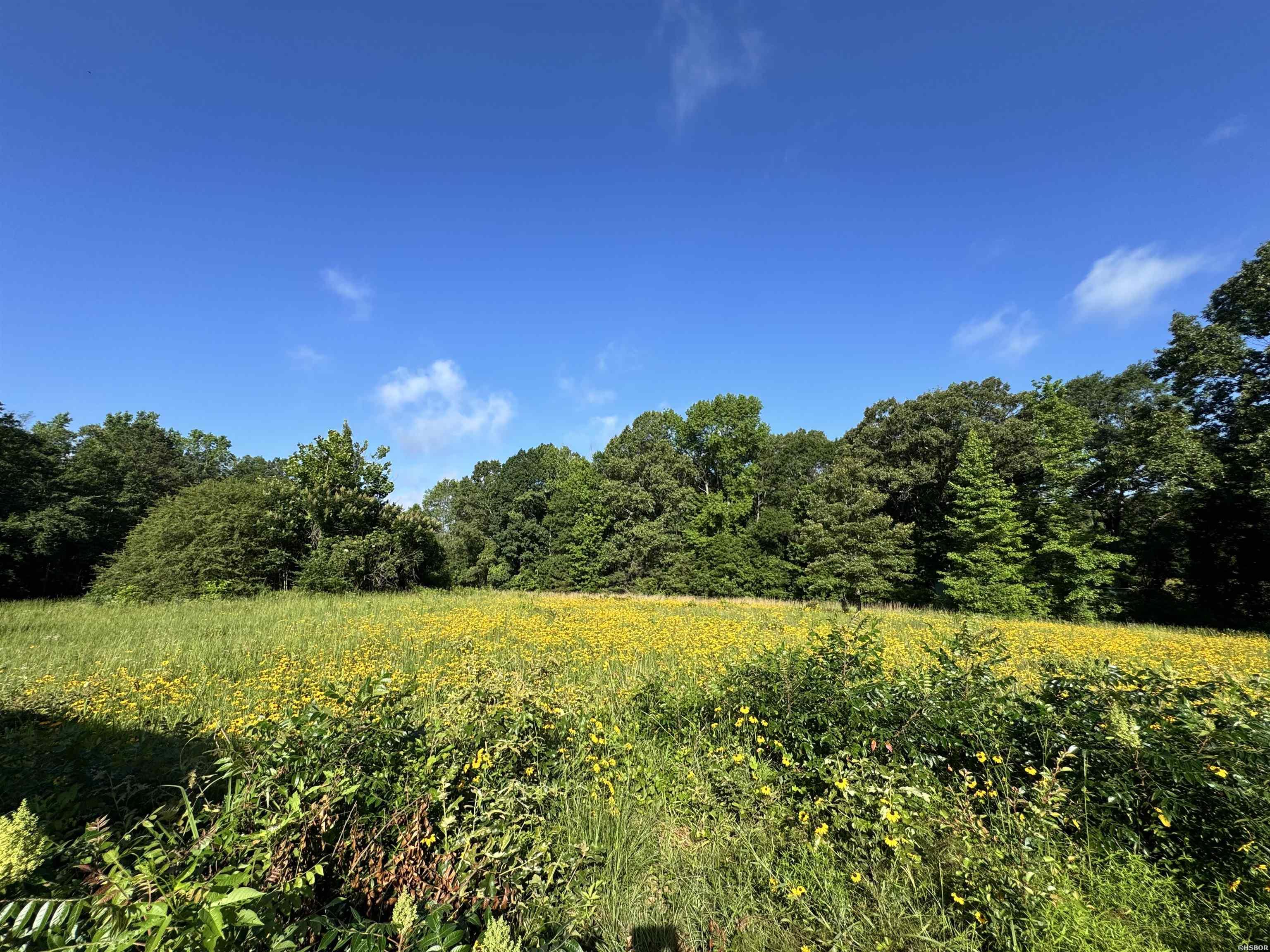 2.25 Acres Cuffman Mill Road Property Photo 3