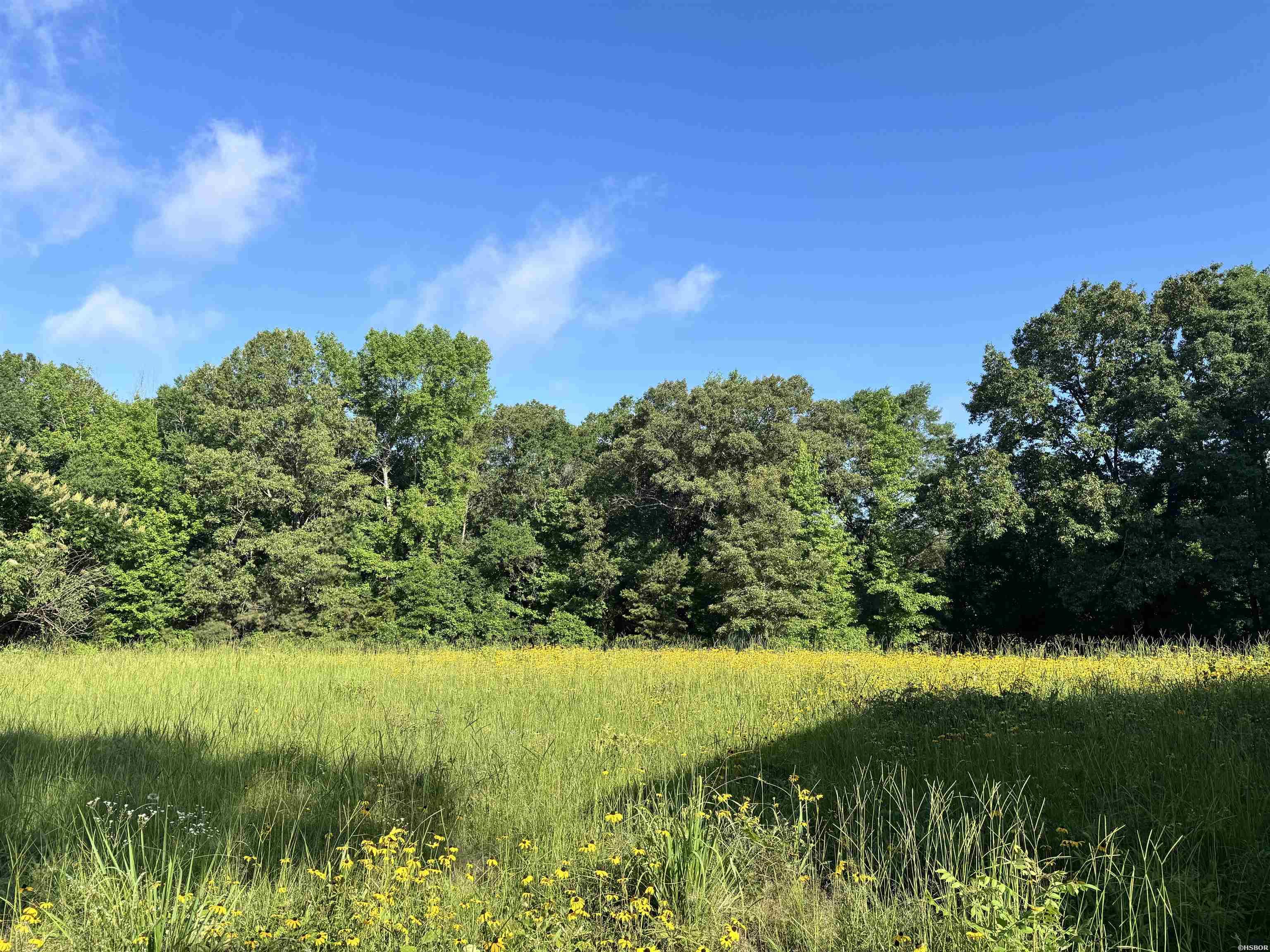 2.25 Acres Cuffman Mill Road Property Photo 4