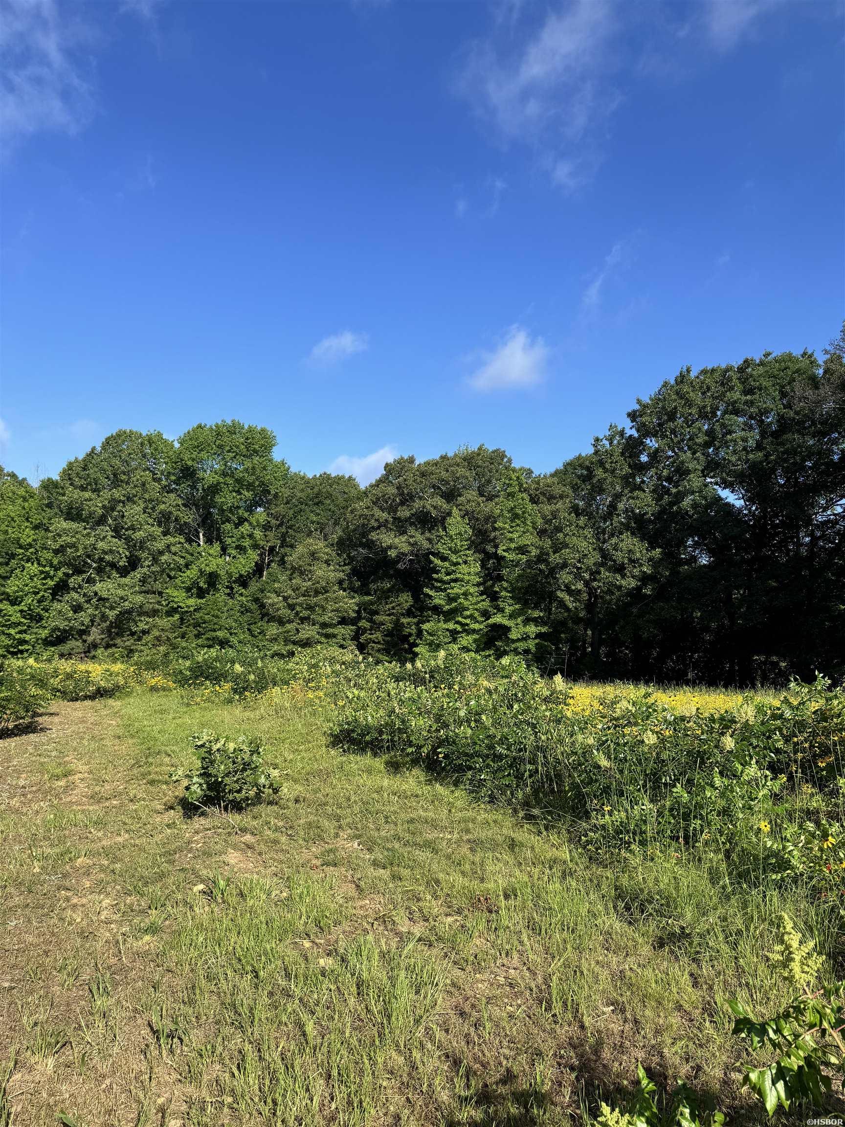 2.25 Acres Cuffman Mill Road Property Photo 24