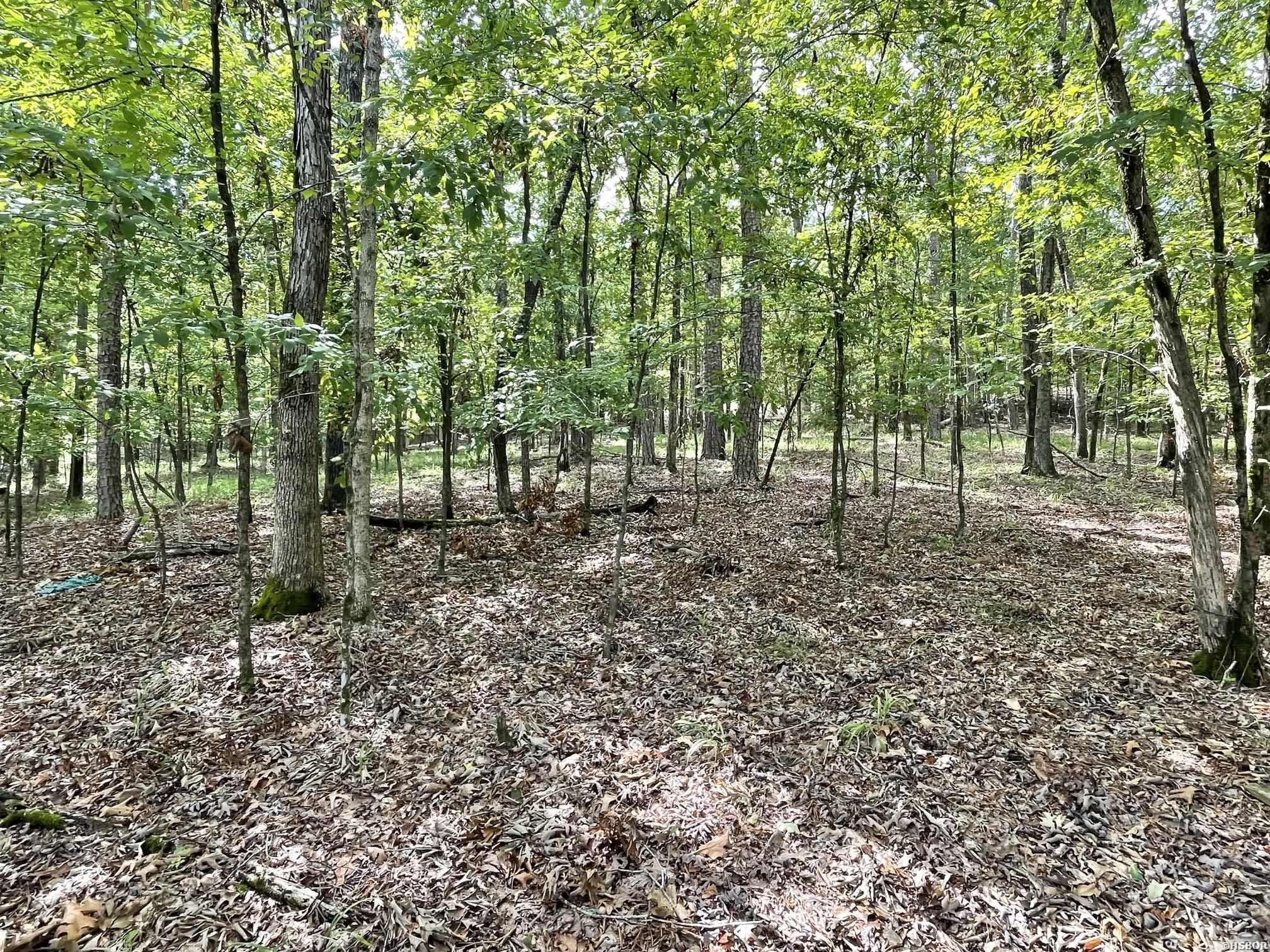 000 Spring Branch Drive Property Photo 2
