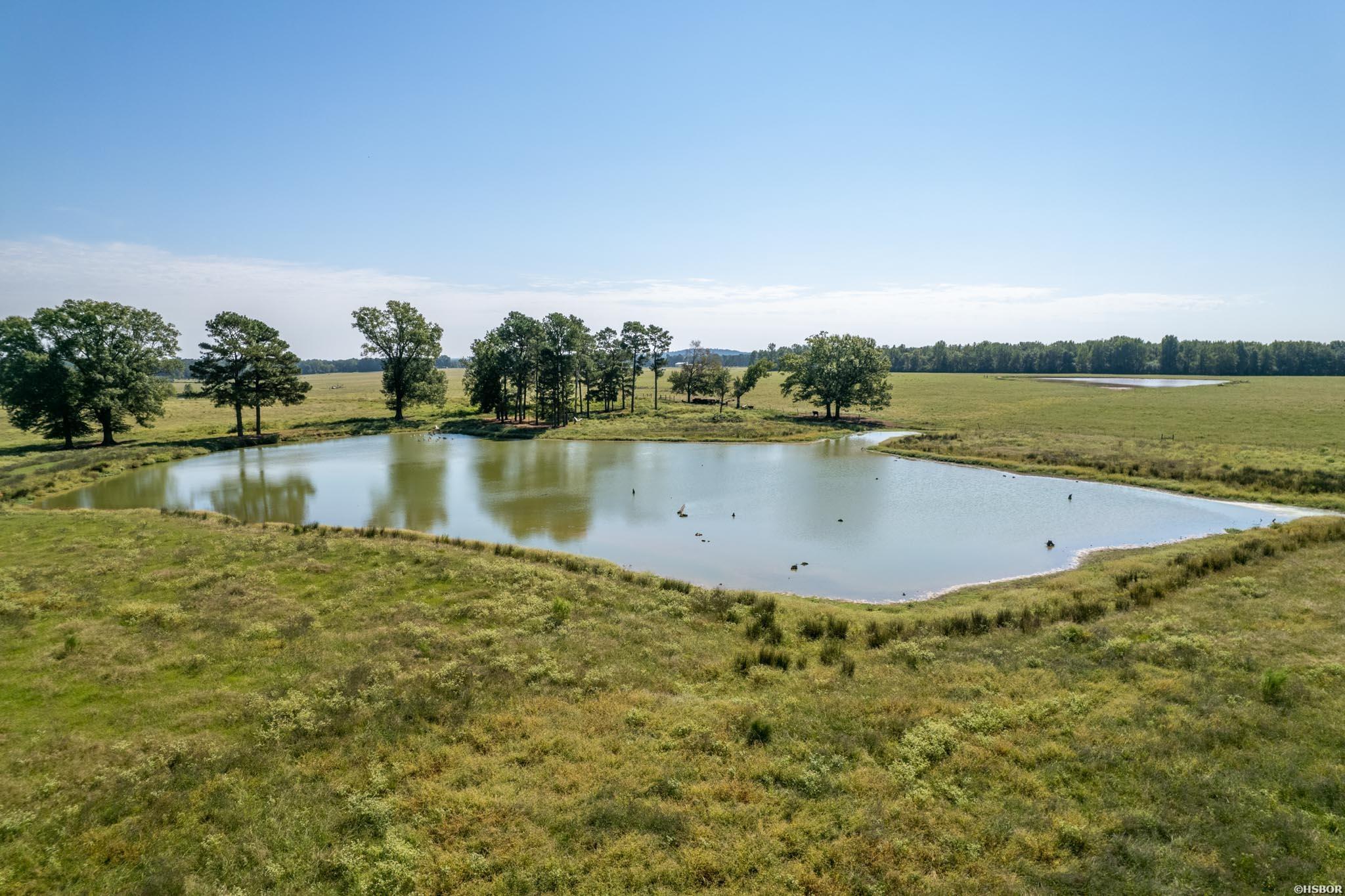 389 Highway 174 N Property Photo 26