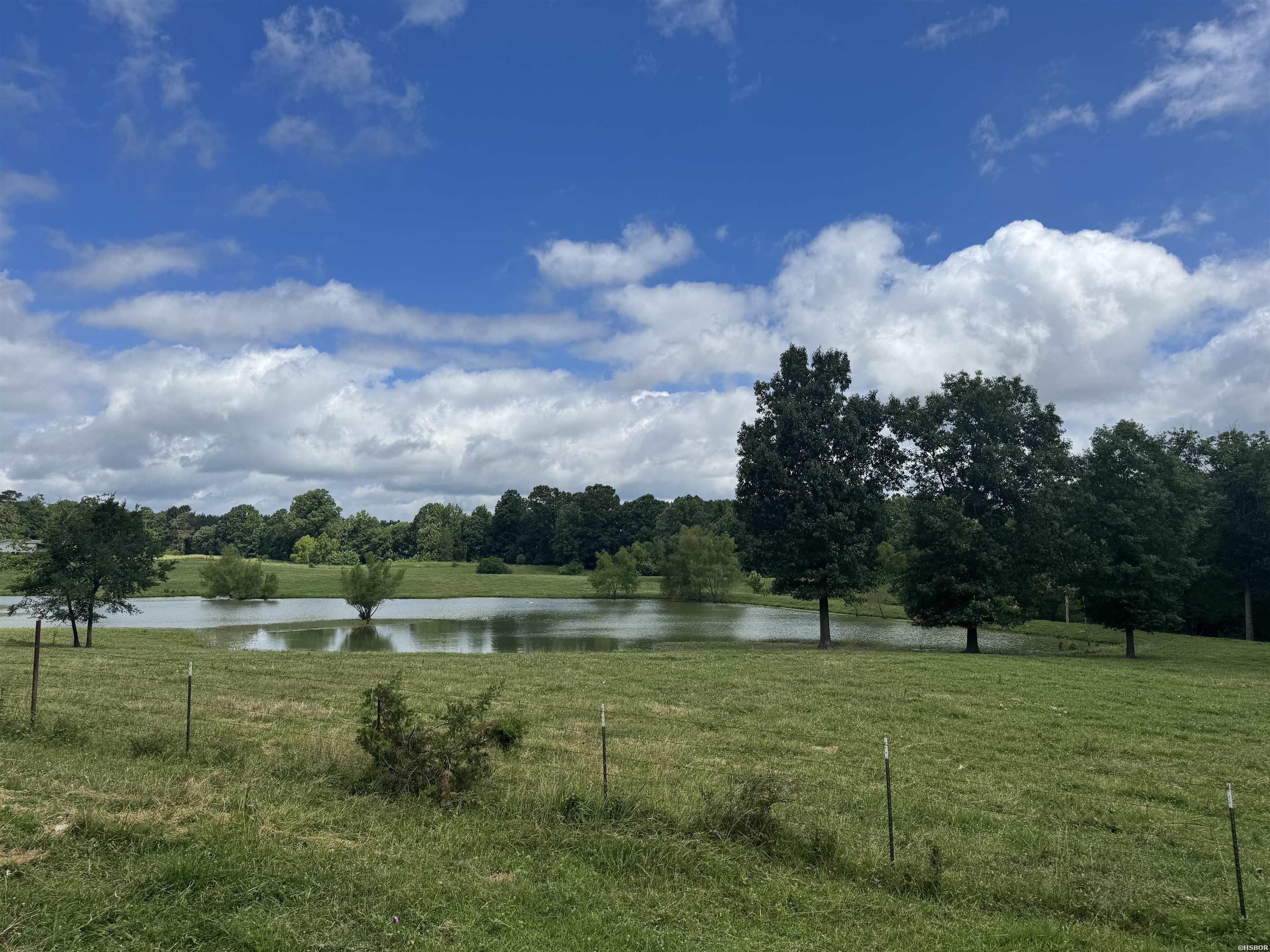 100 Acres Wynn Road Property Photo 5